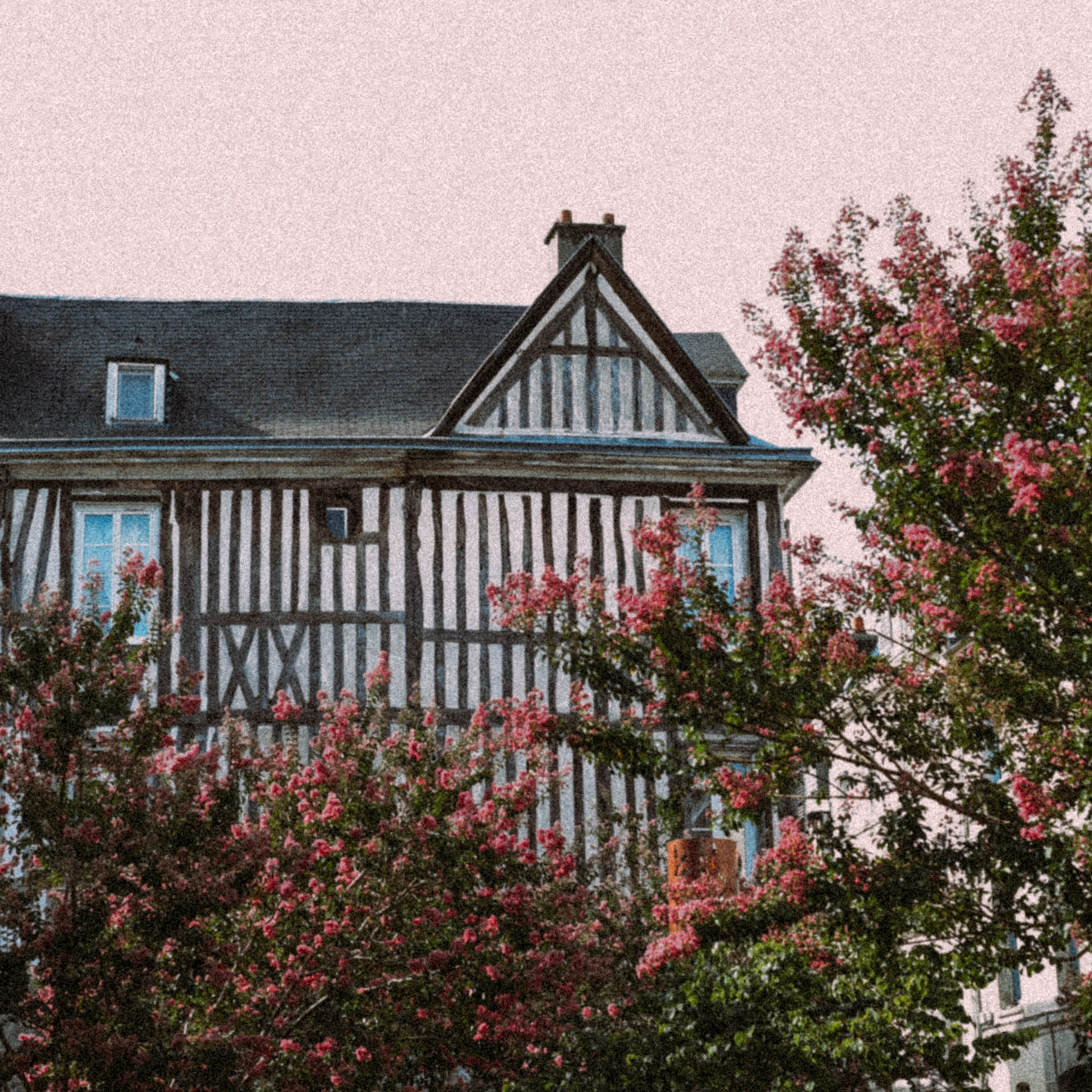 Нормандия, Франция 2025. Anita_photo