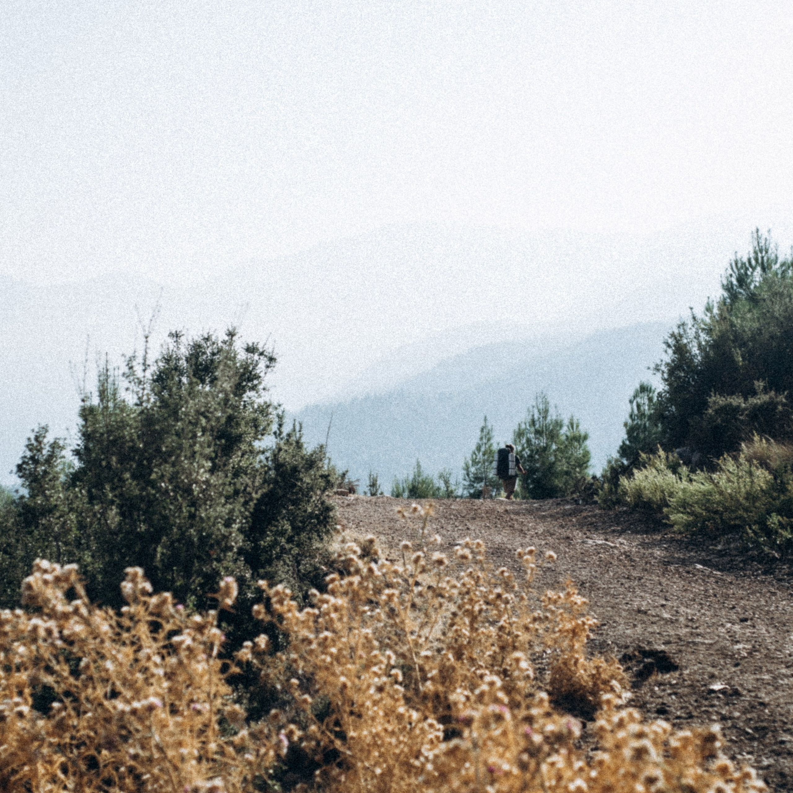 Ликийская Тропа 🇹🇷 Восточная Часть. Anita_photo