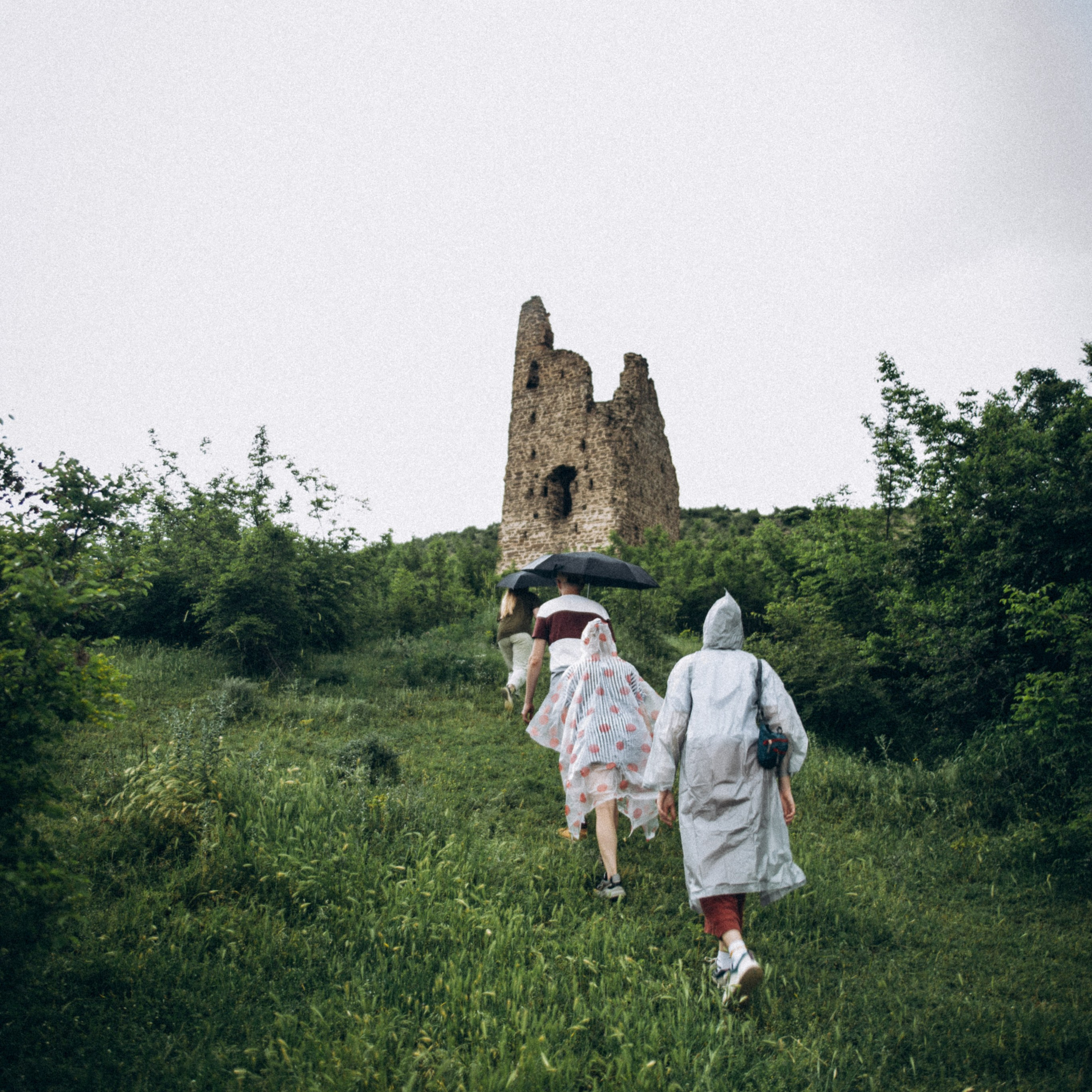 Коджори, Грузия 🇬🇪 «Honey Trip»