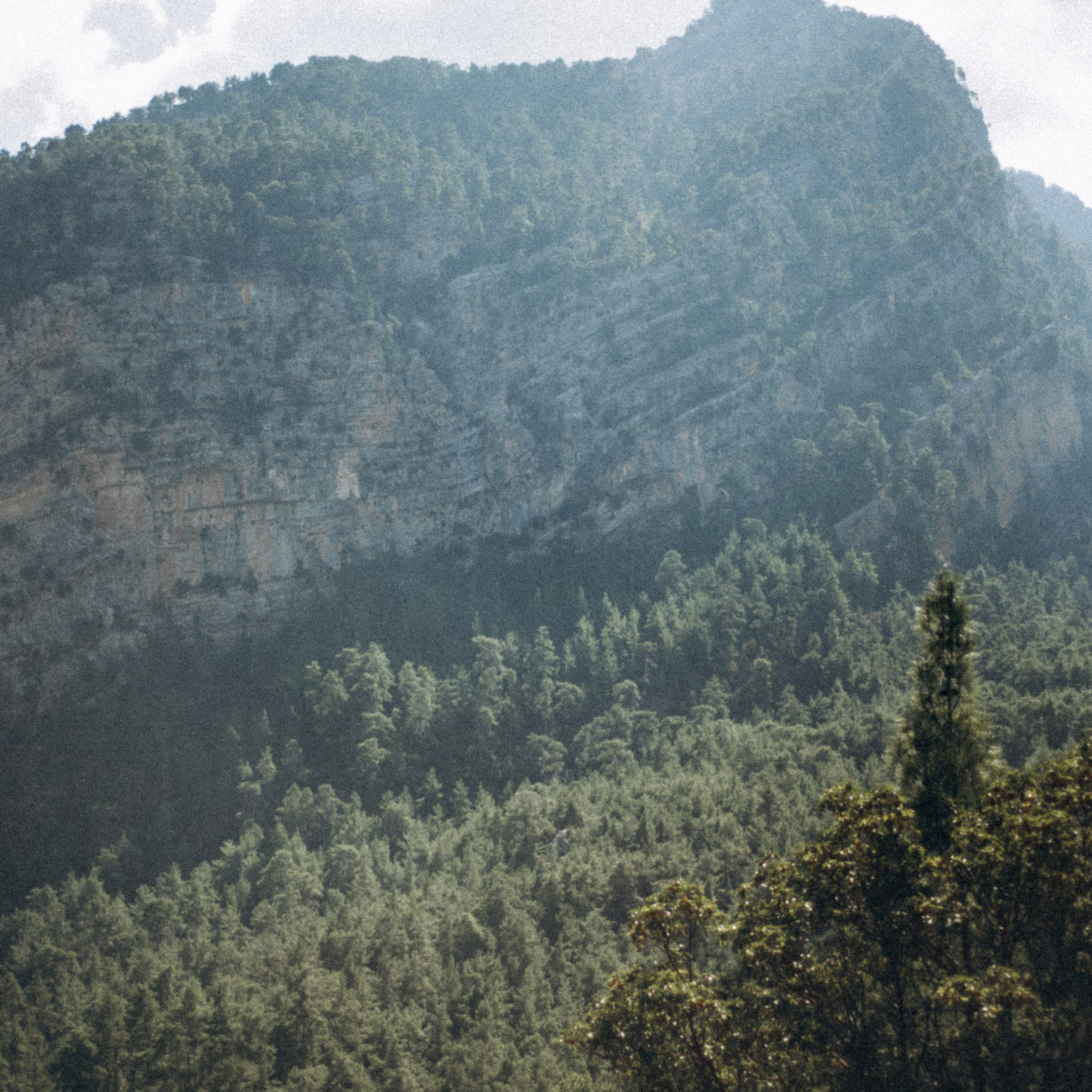 Ликийская Тропа 🇹🇷 Восточная Часть. Anita_photo