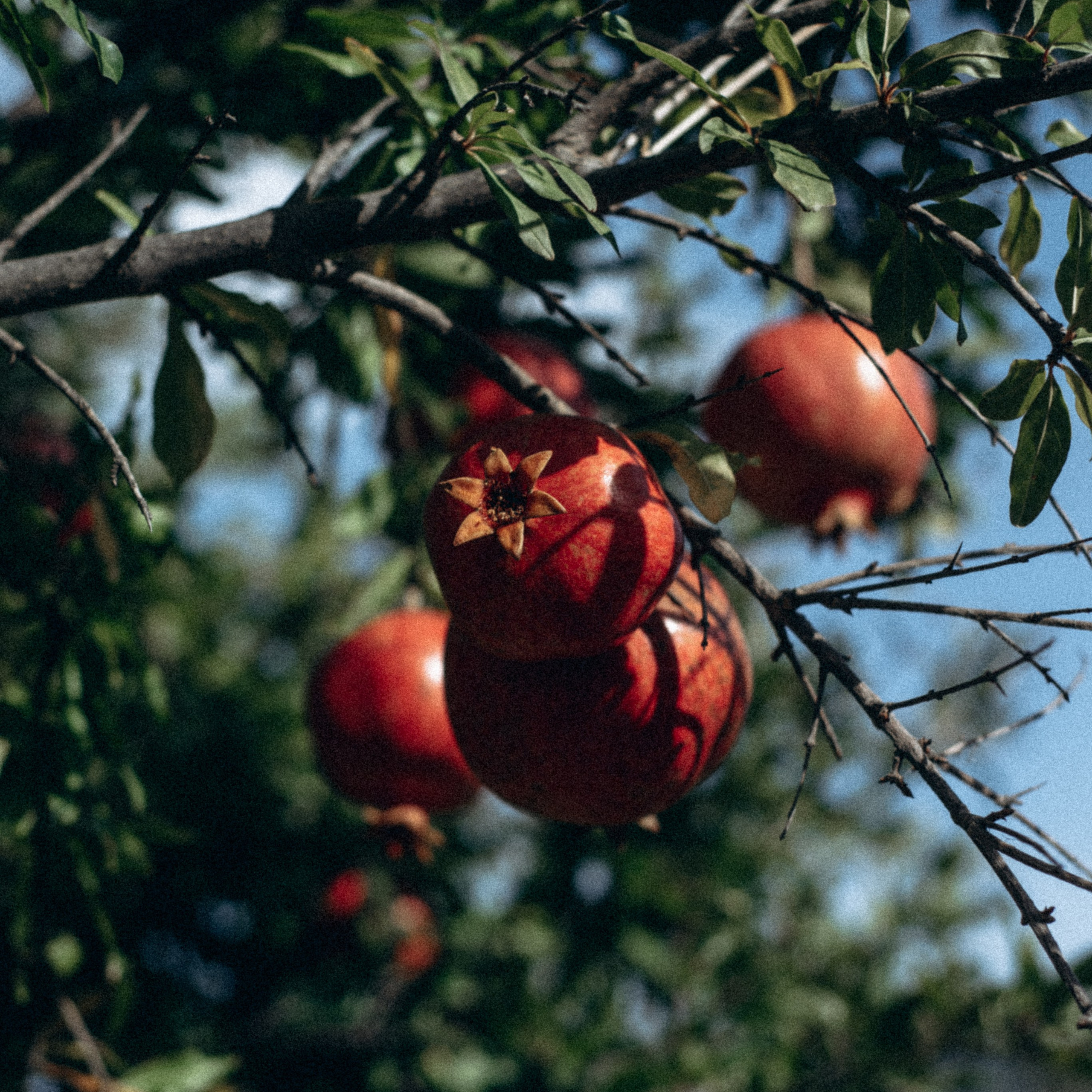 Ликийская Тропа 🇹🇷 Восточная Часть. Anita_photo