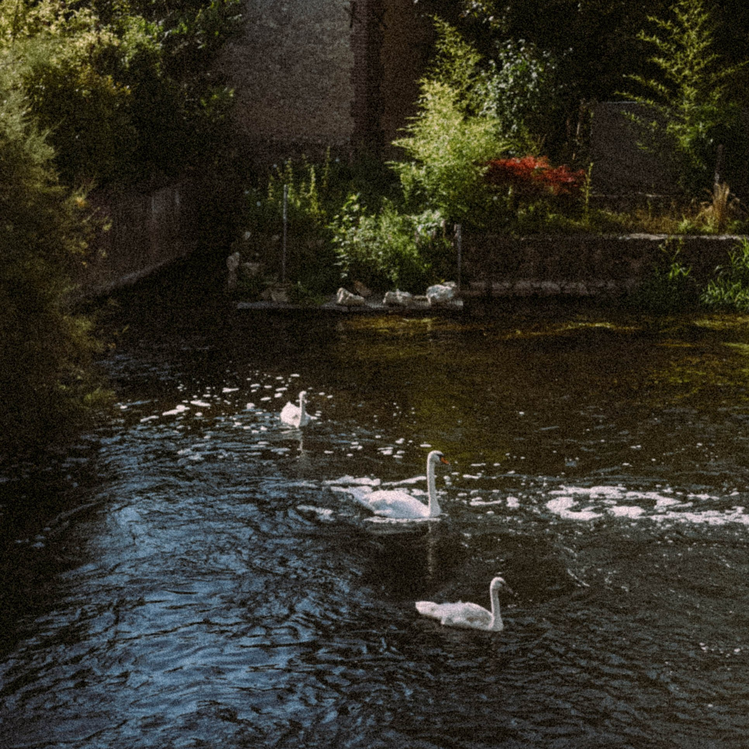 Нормандия, Франция 2025. Anita_photo