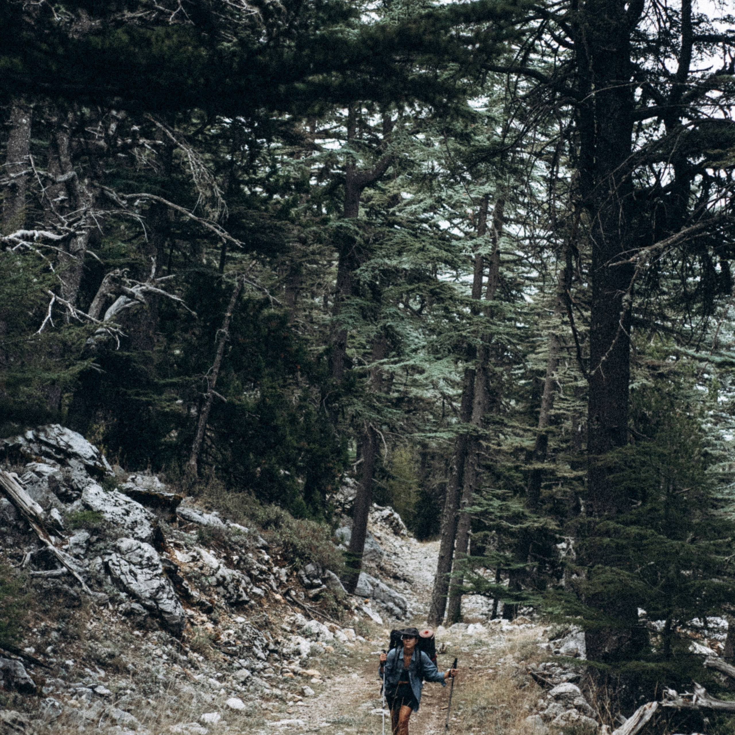 Ликийская Тропа 🇹🇷 Восточная Часть. Anita_photo