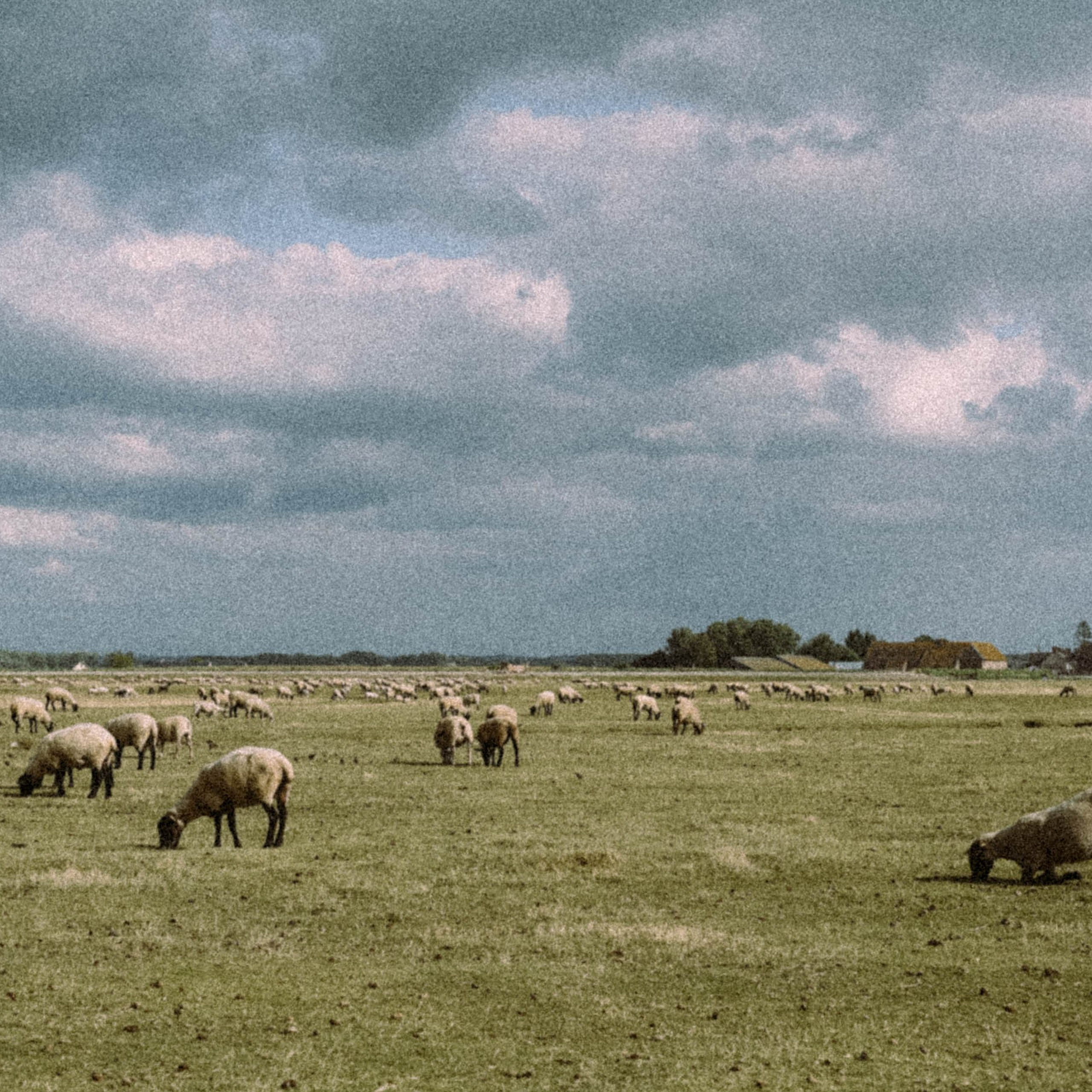 Нормандия, Франция 2025. Anita_photo