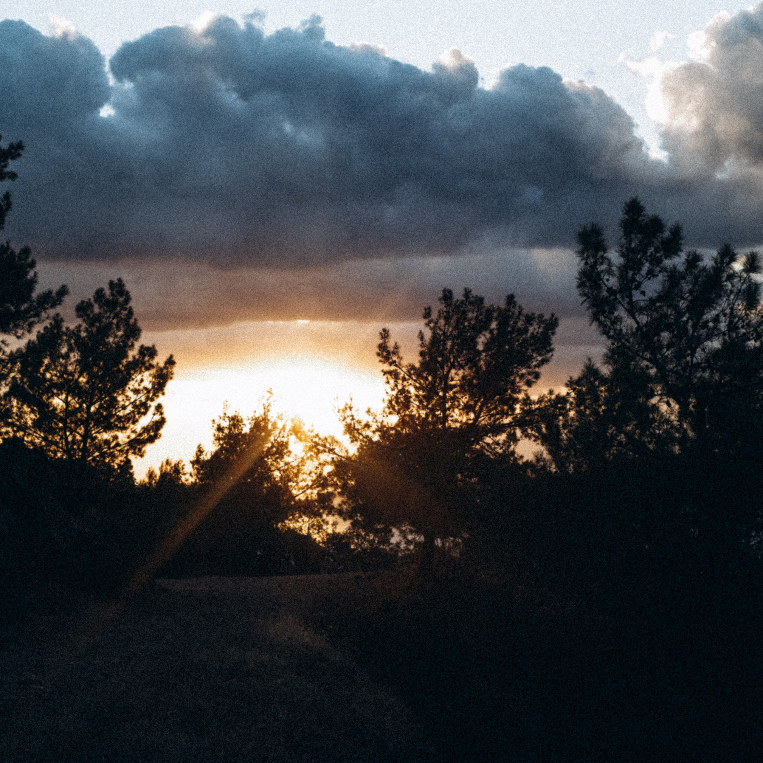 Ликийская Тропа 🇹🇷 Восточная Часть. Anita_photo