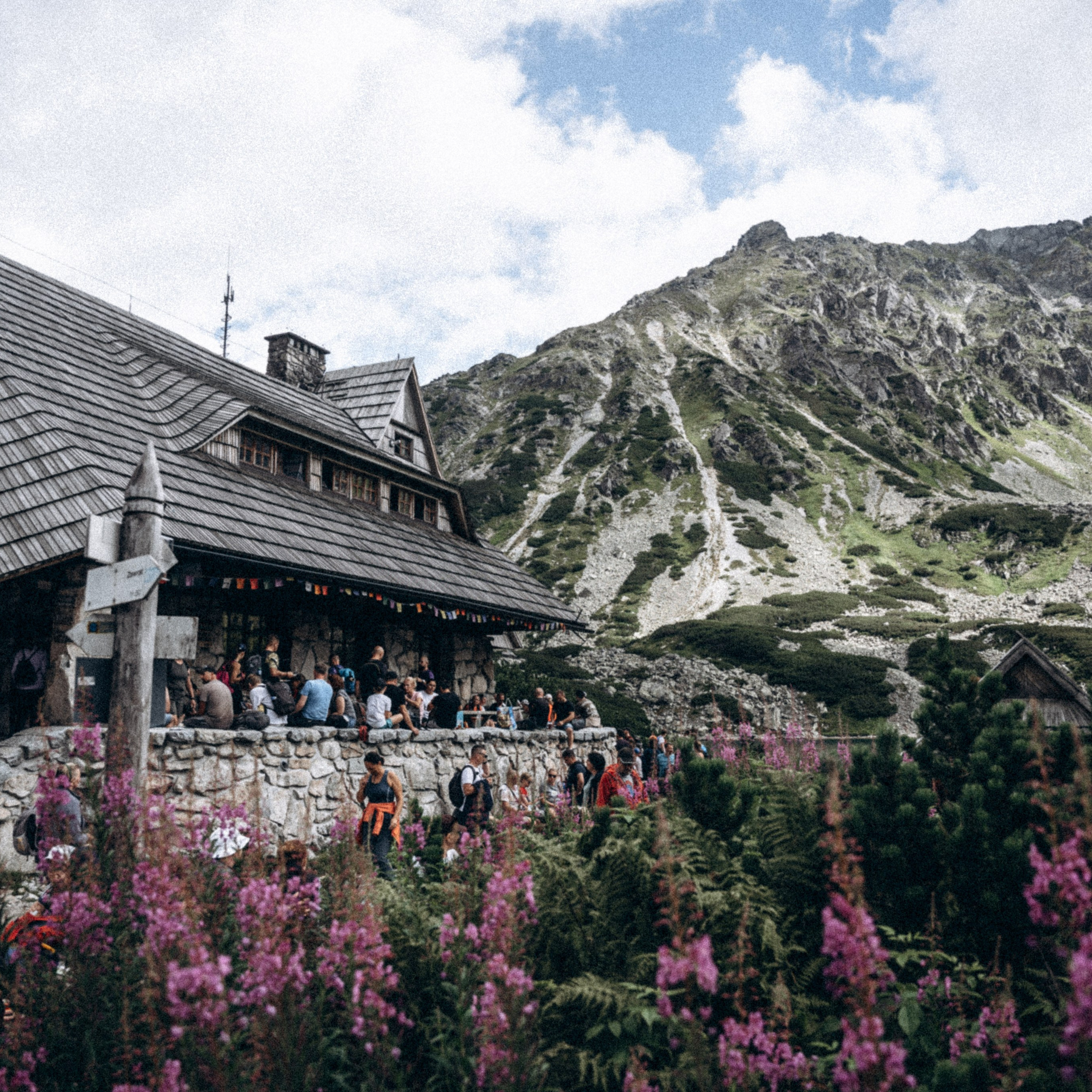 Закопаны. Anita_photo