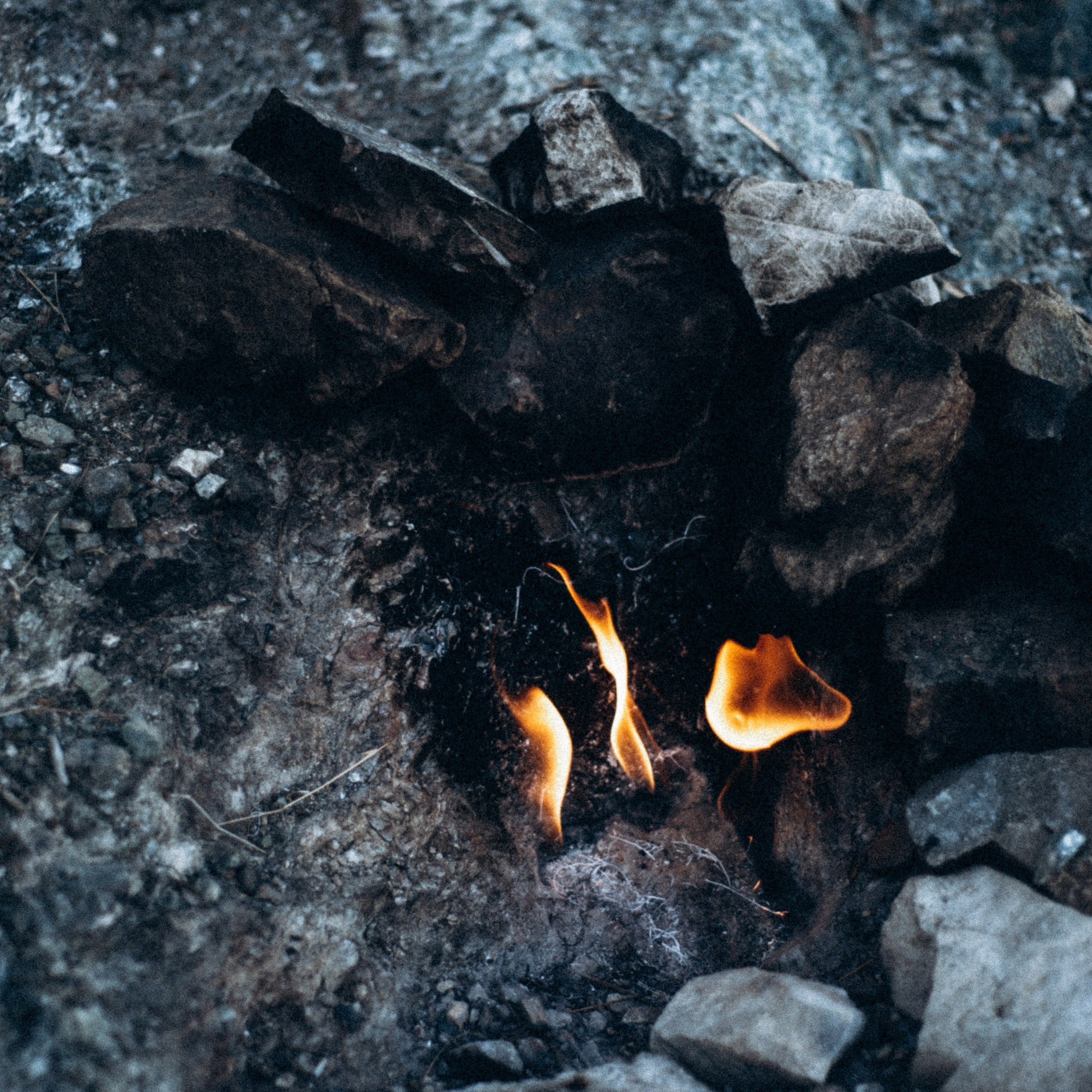 Ликийская Тропа 🇹🇷 Восточная Часть. Anita_photo