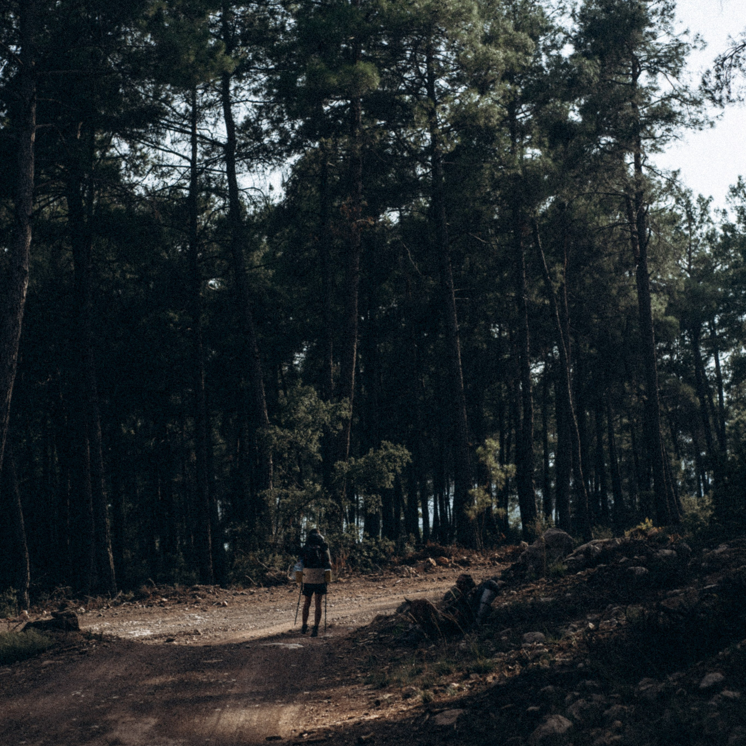 Ликийская Тропа 🇹🇷 Восточная Часть. Anita_photo