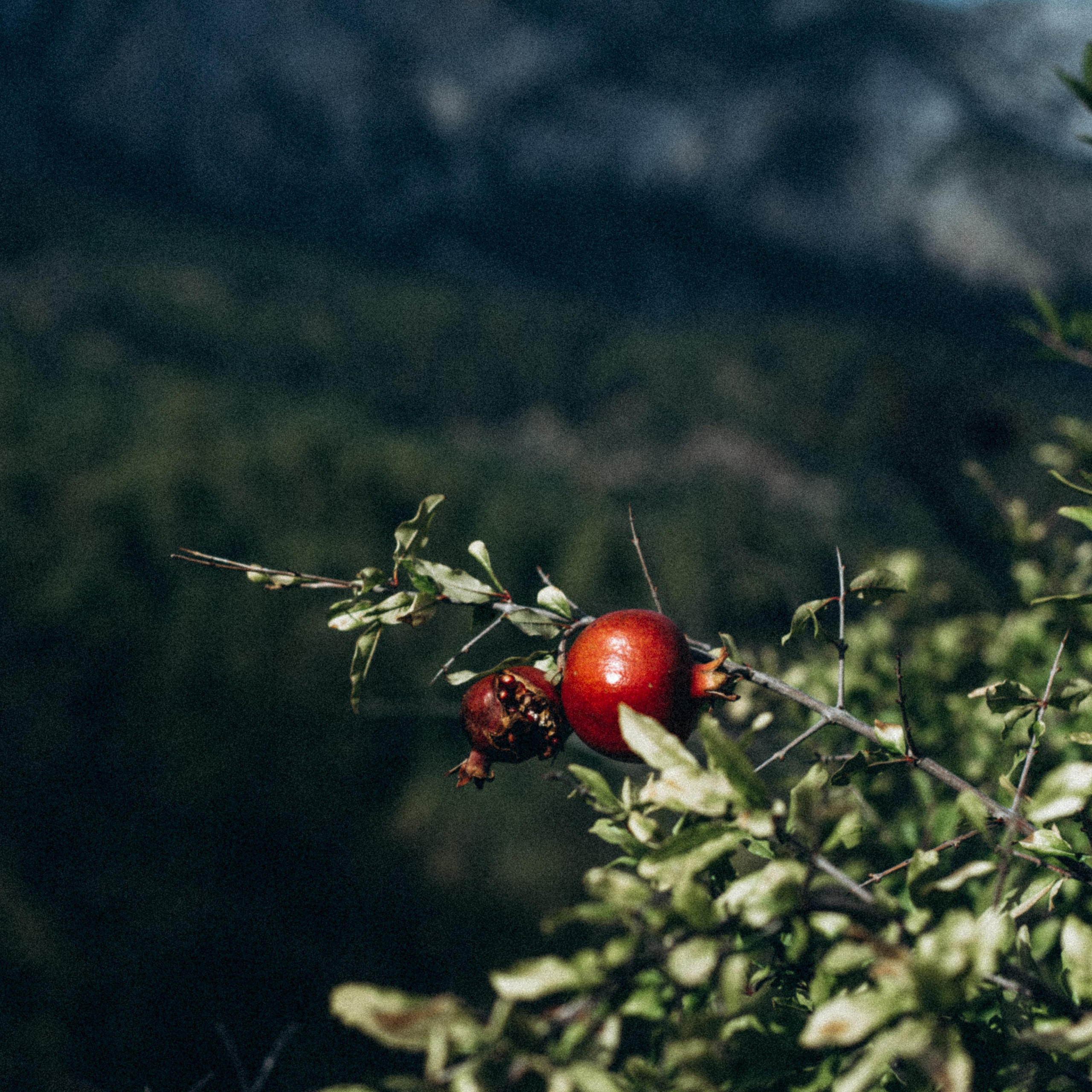 Ликийская Тропа 🇹🇷 Восточная Часть. Anita_photo