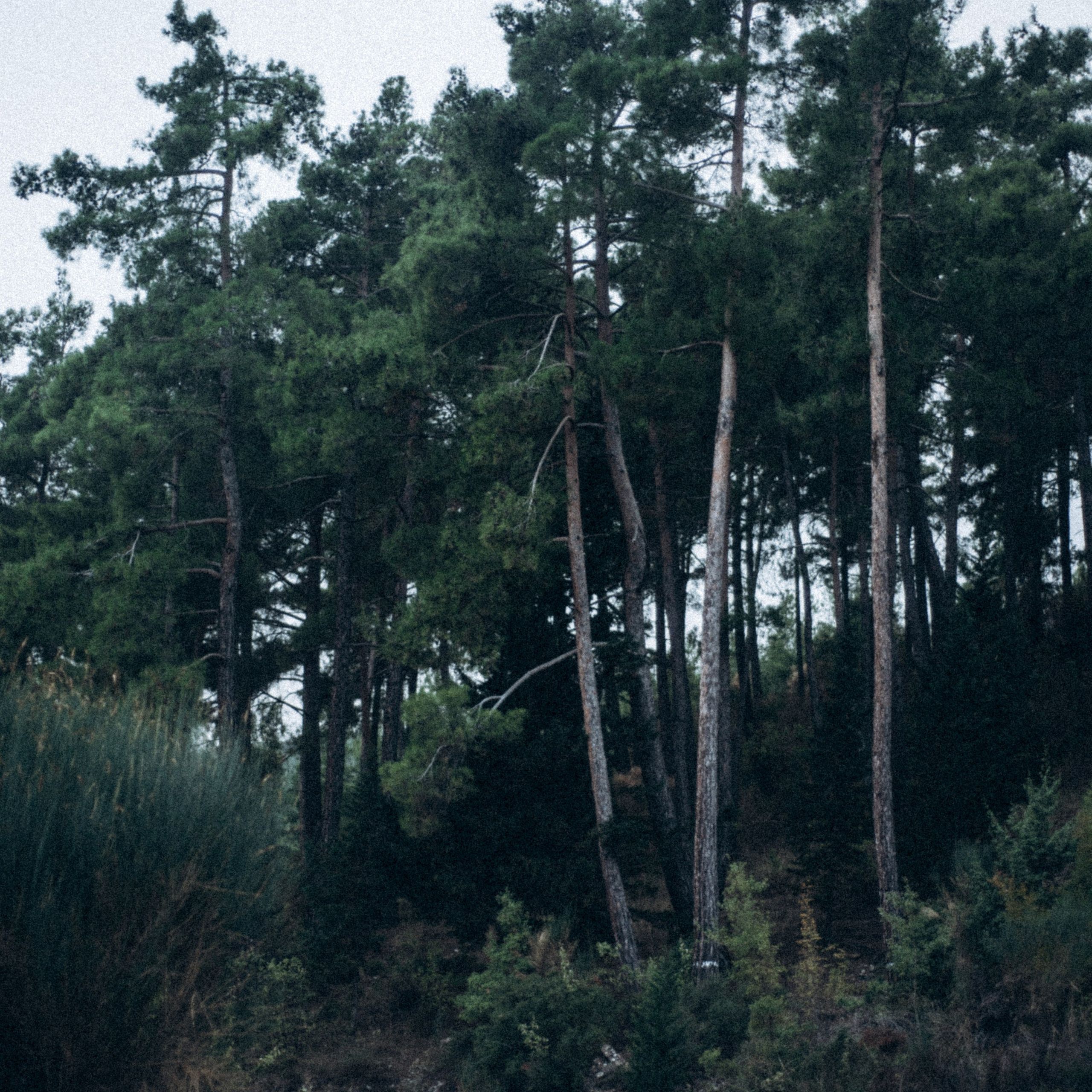Ликийская Тропа 🇹🇷 Восточная Часть. Anita_photo