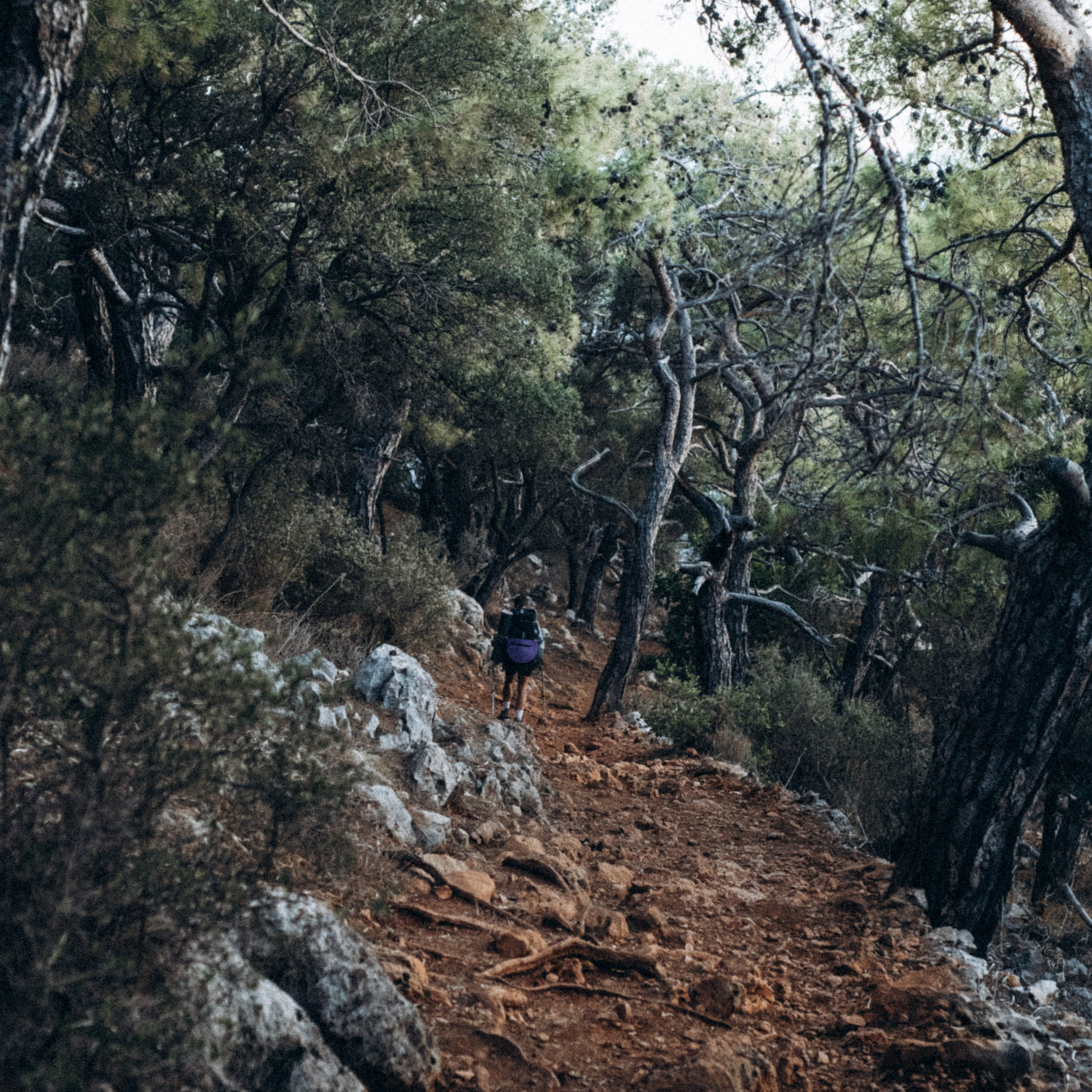 Ликийская Тропа 🇹🇷 Восточная Часть. Anita_photo