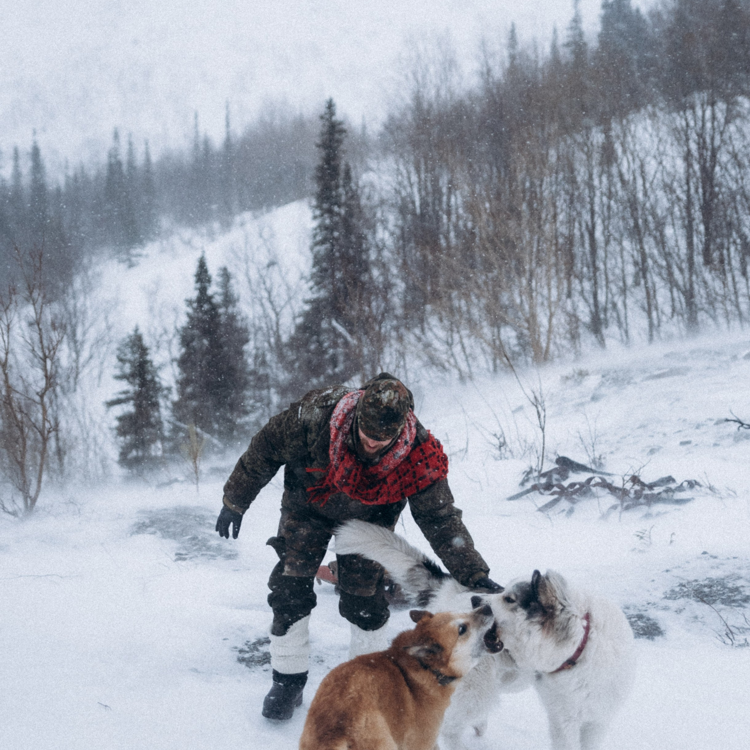 Мурманск. Anita_photo