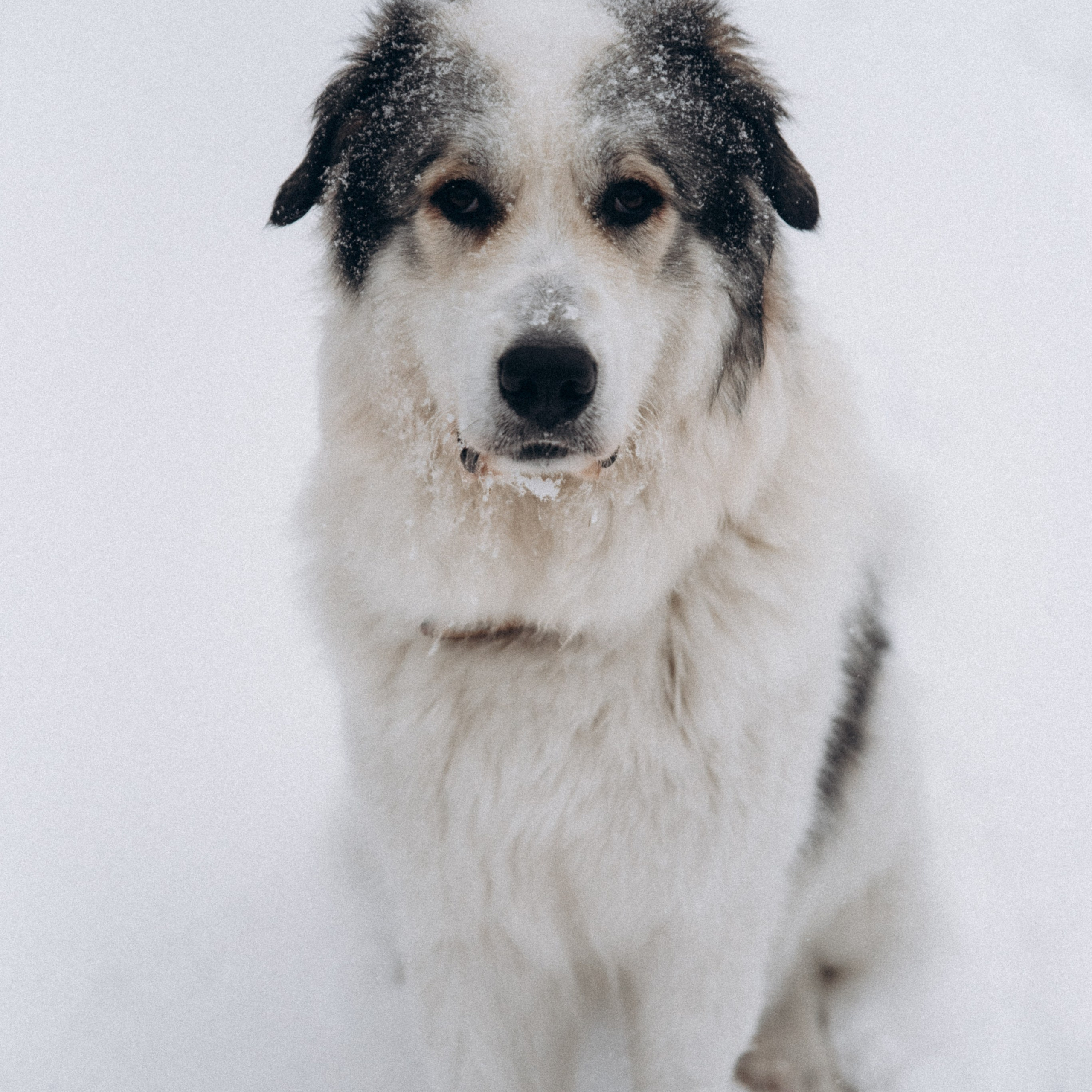 Мурманск. Anita_photo