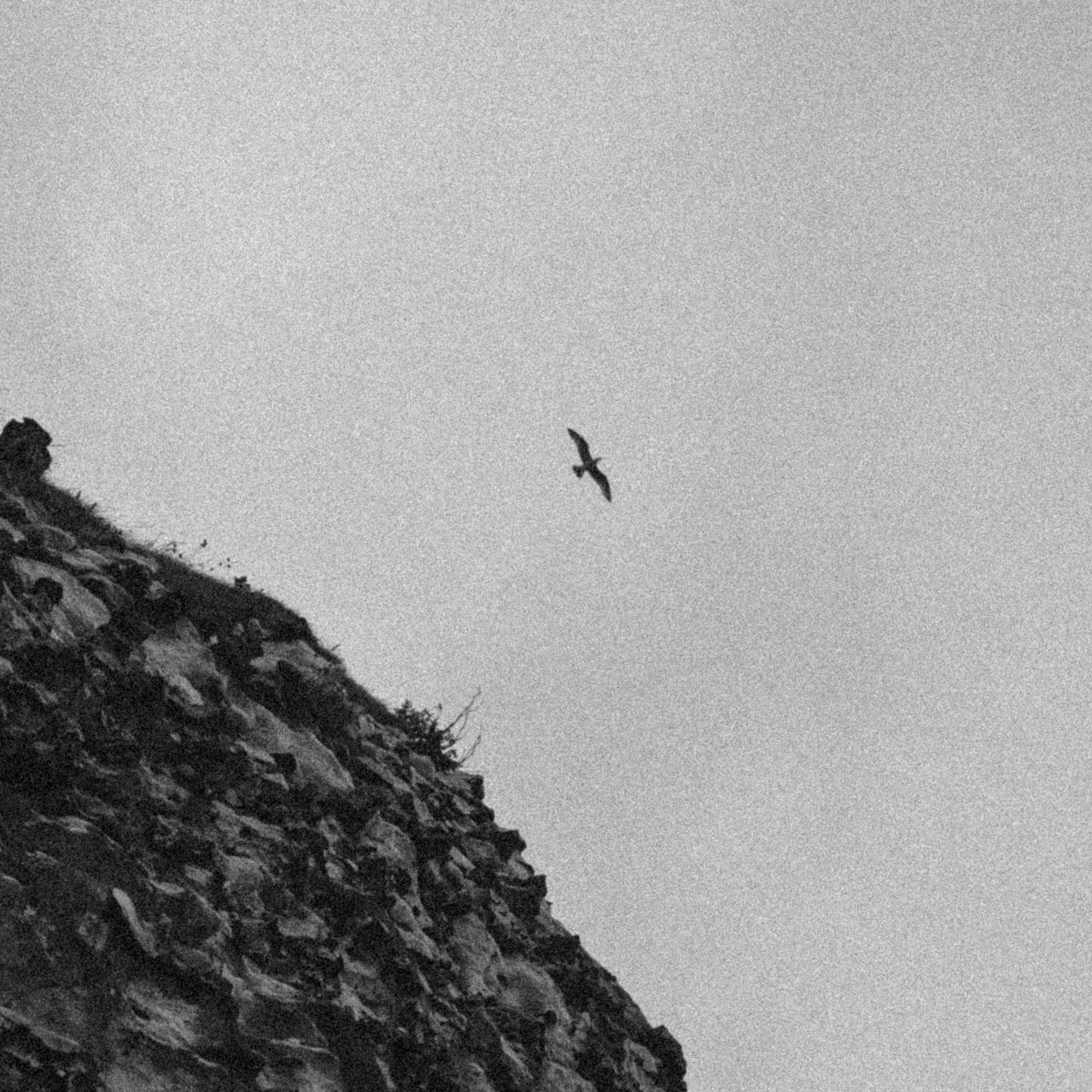 Нормандия, Франция 2025. Anita_photo