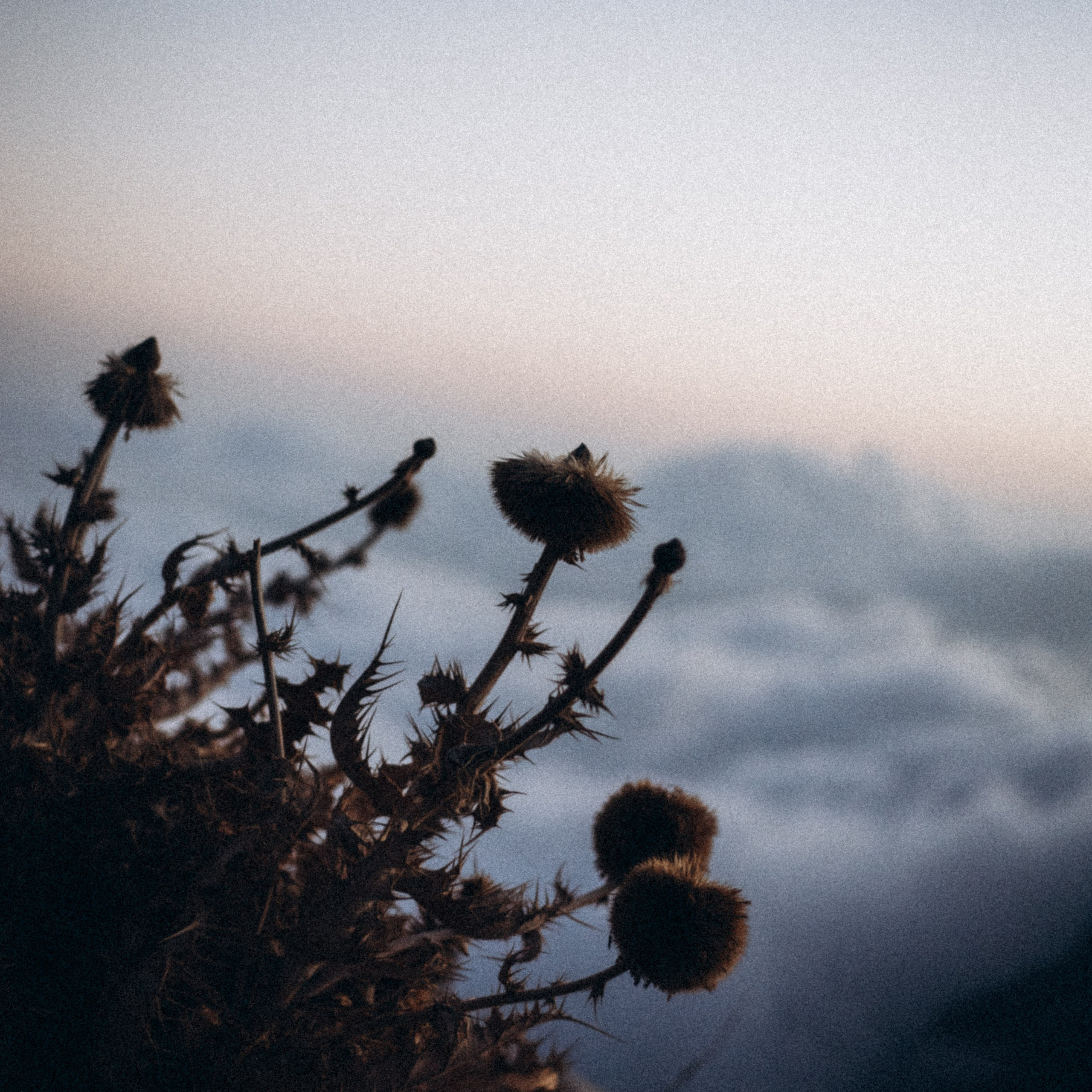 Ликийская Тропа 🇹🇷 Восточная Часть. Anita_photo