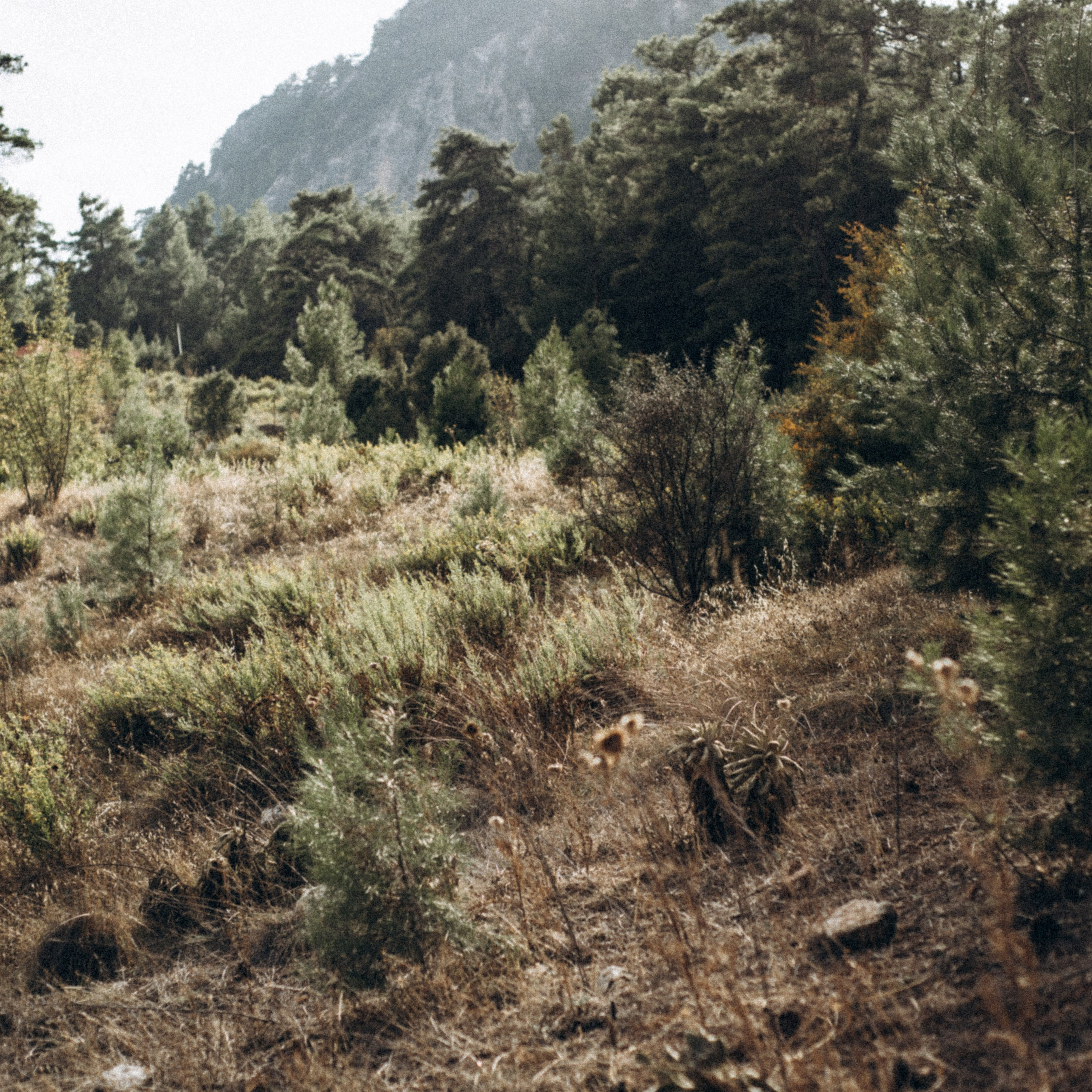 Ликийская Тропа 🇹🇷 Восточная Часть. Anita_photo