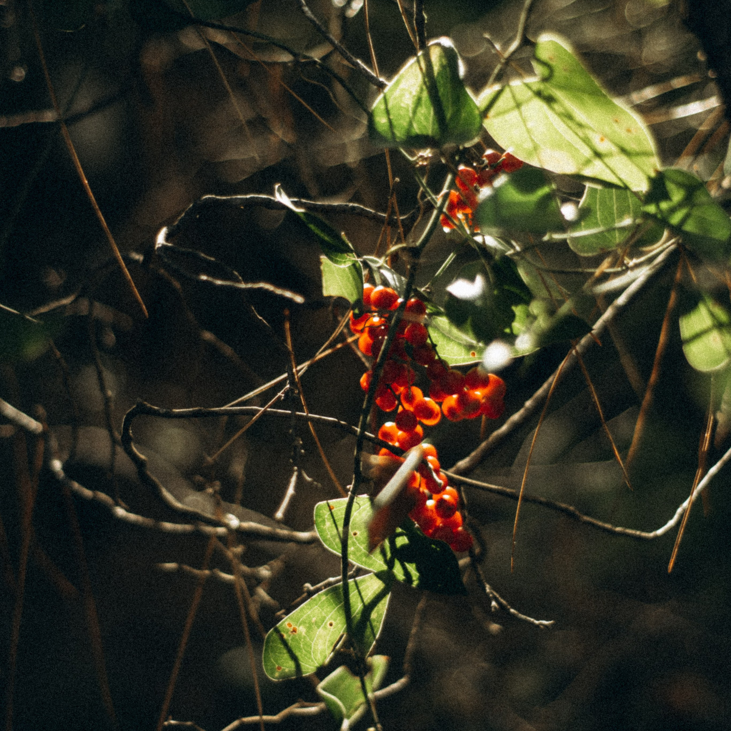 Ликийская Тропа 🇹🇷 Восточная Часть. Anita_photo