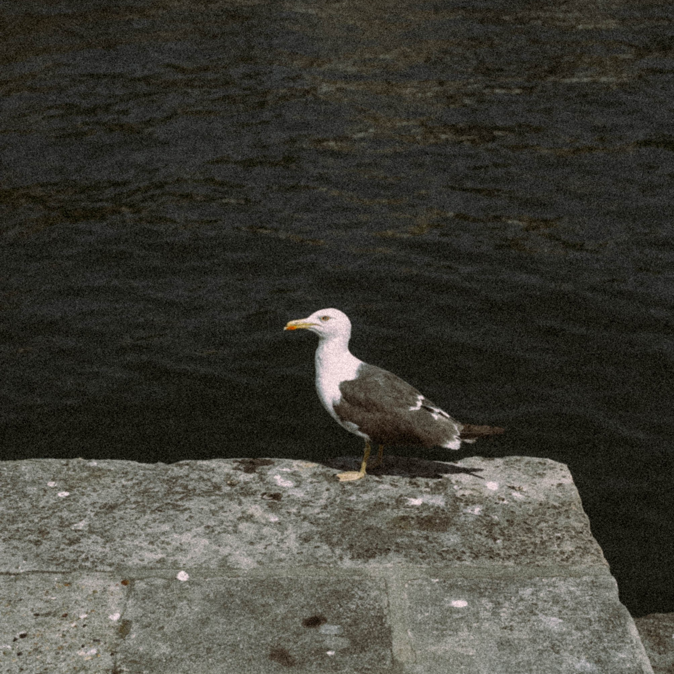 Париж, Франция 2025. Anita_photo