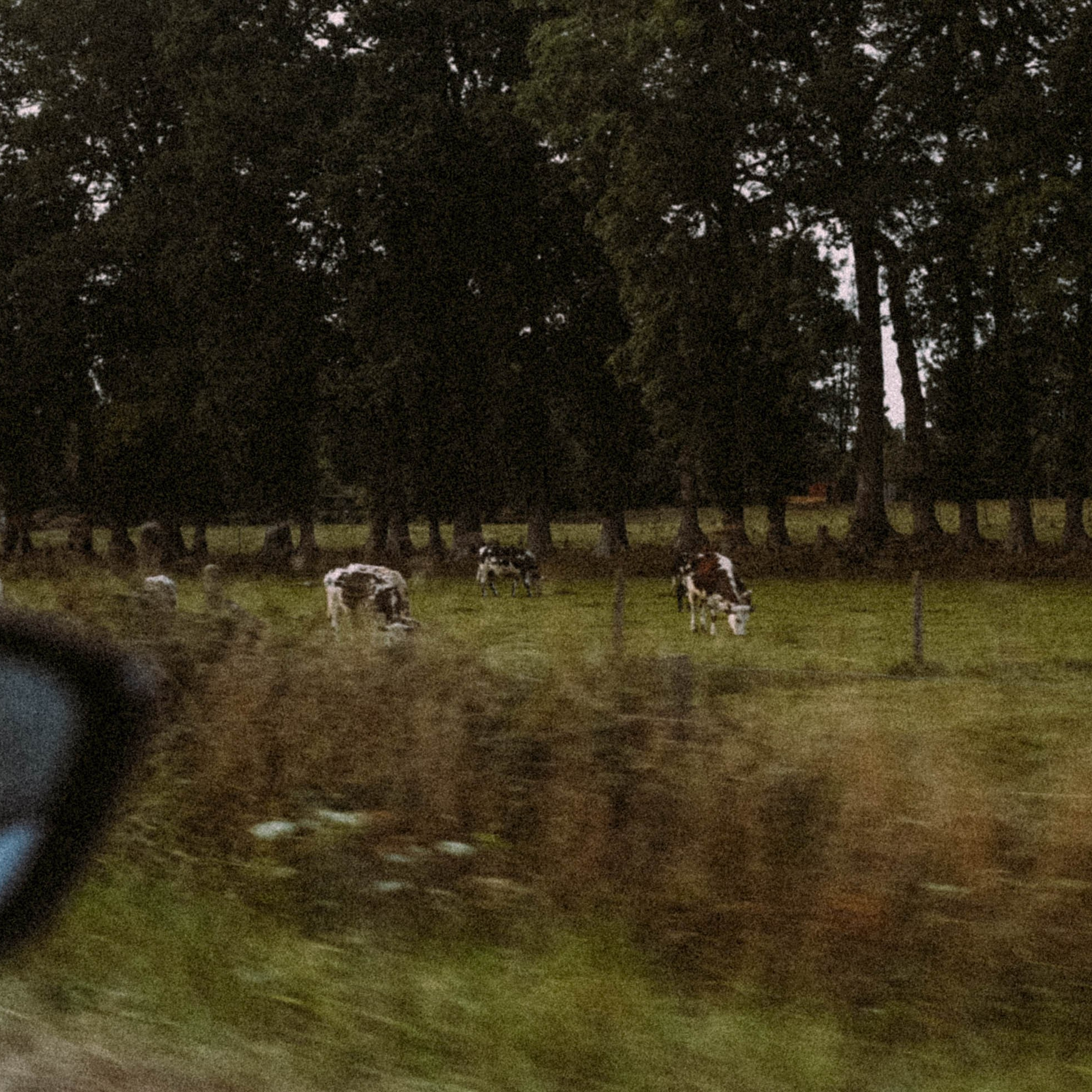 Нормандия, Франция 2025. Anita_photo