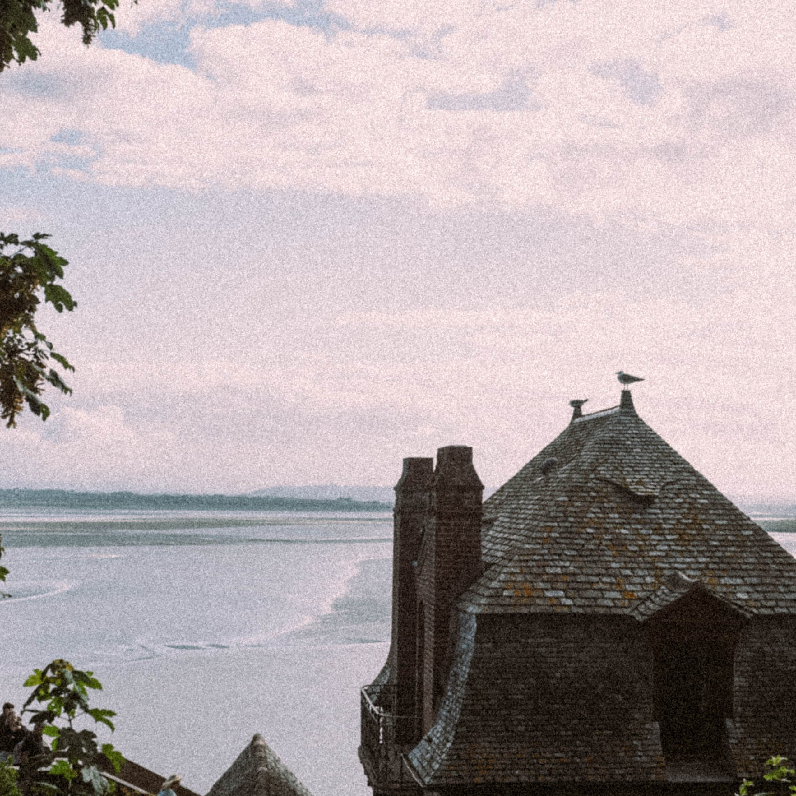 Нормандия, Франция 2025. Anita_photo