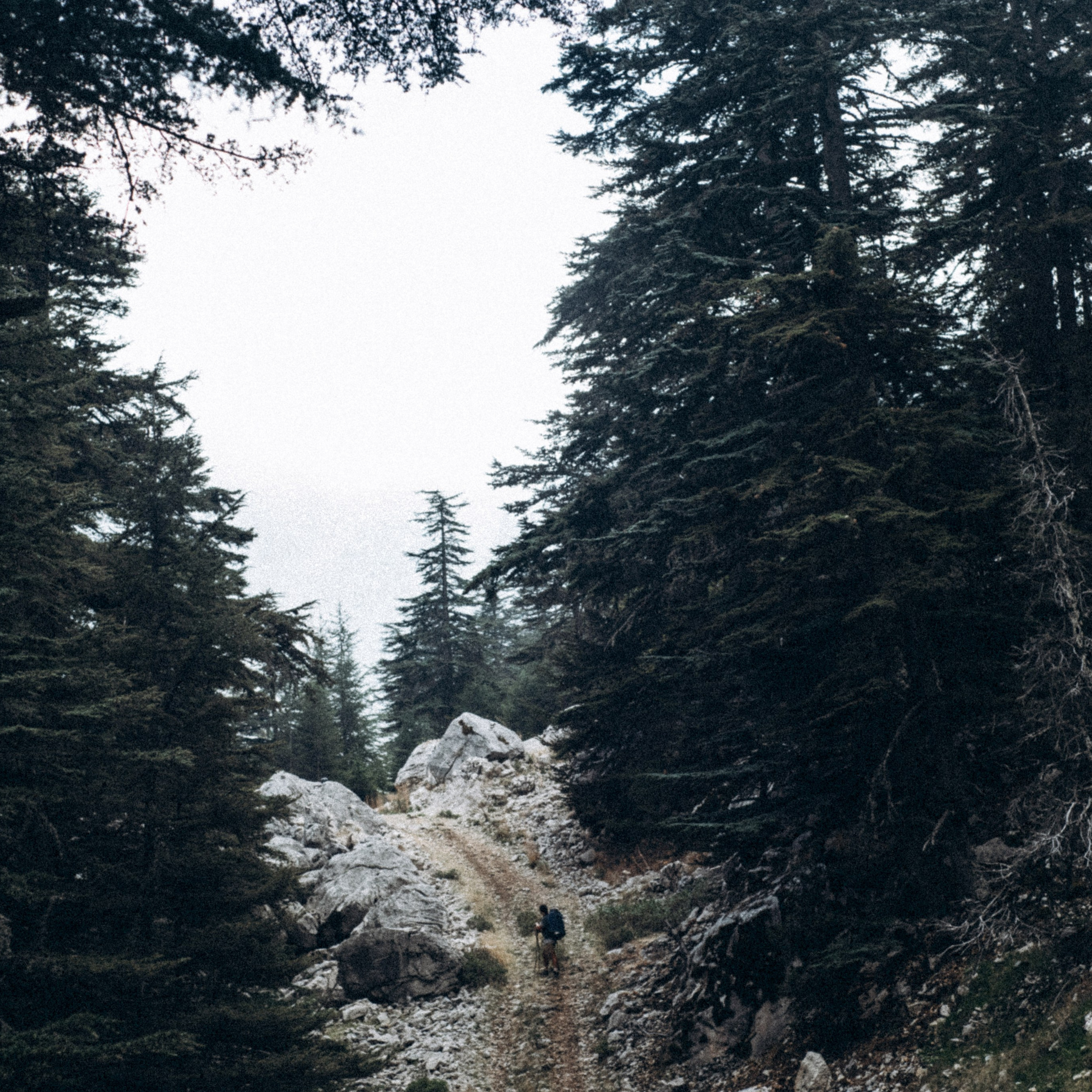 Ликийская Тропа 🇹🇷 Восточная Часть. Anita_photo