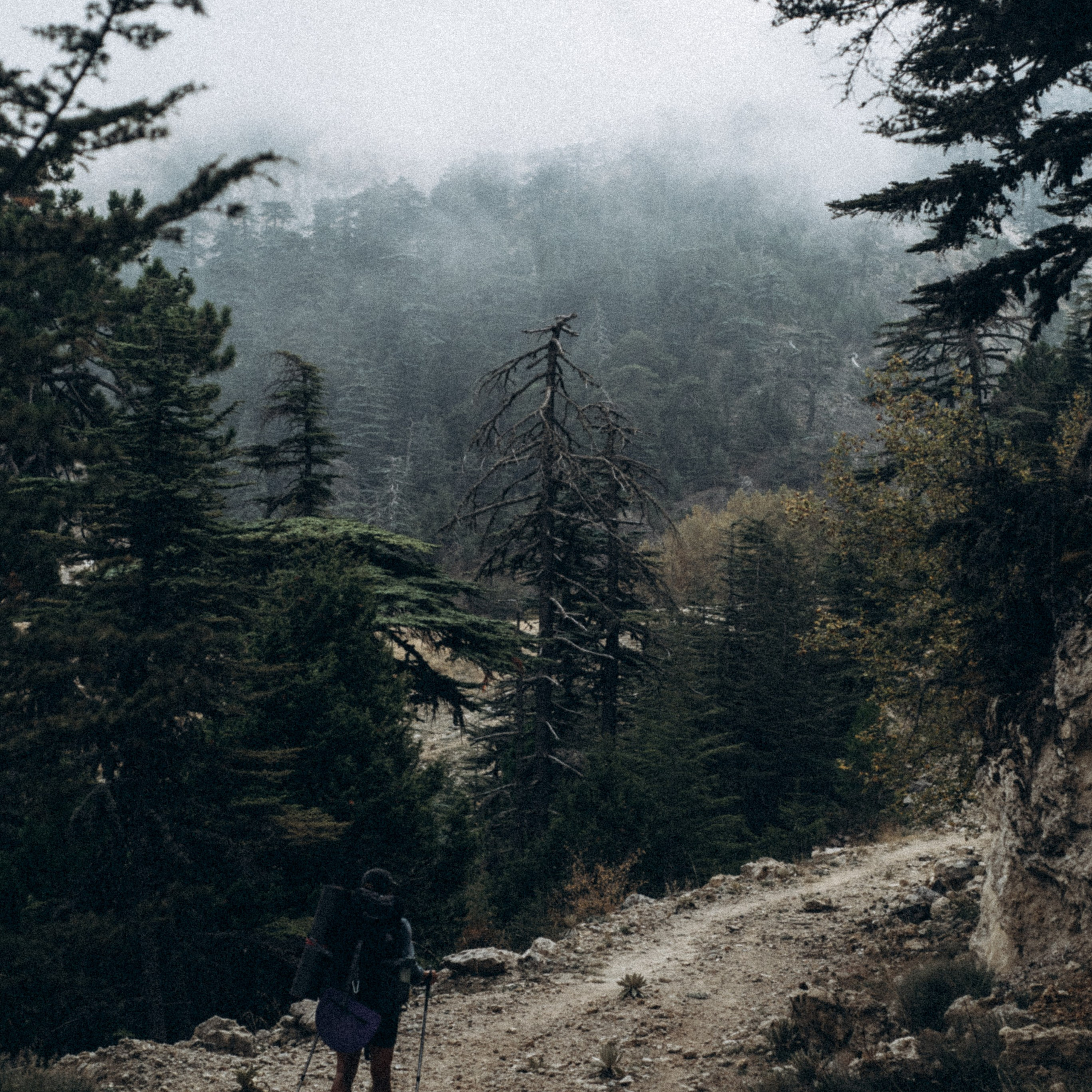 Ликийская Тропа 🇹🇷 Восточная Часть. Anita_photo