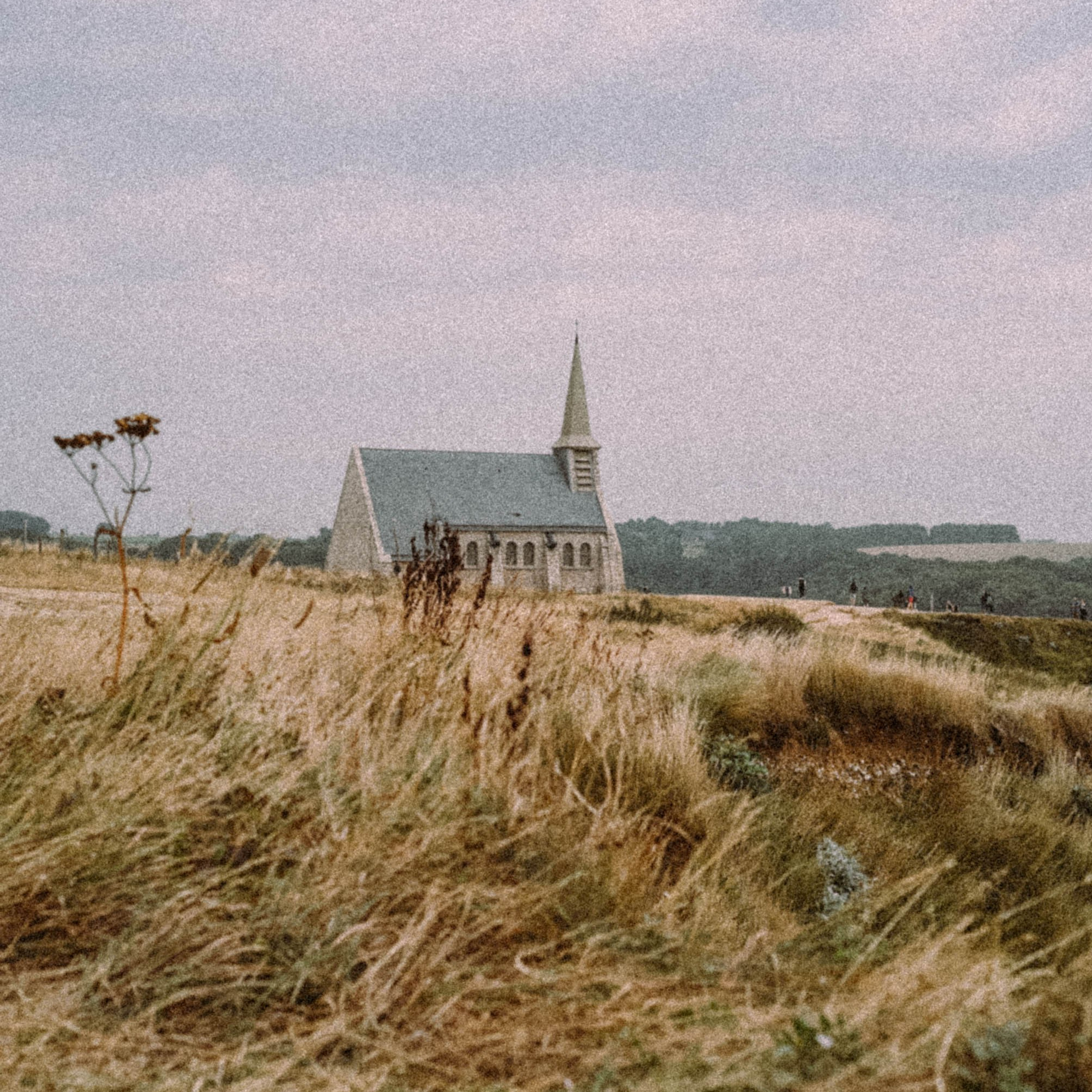 Нормандия, Франция 2025. Anita_photo