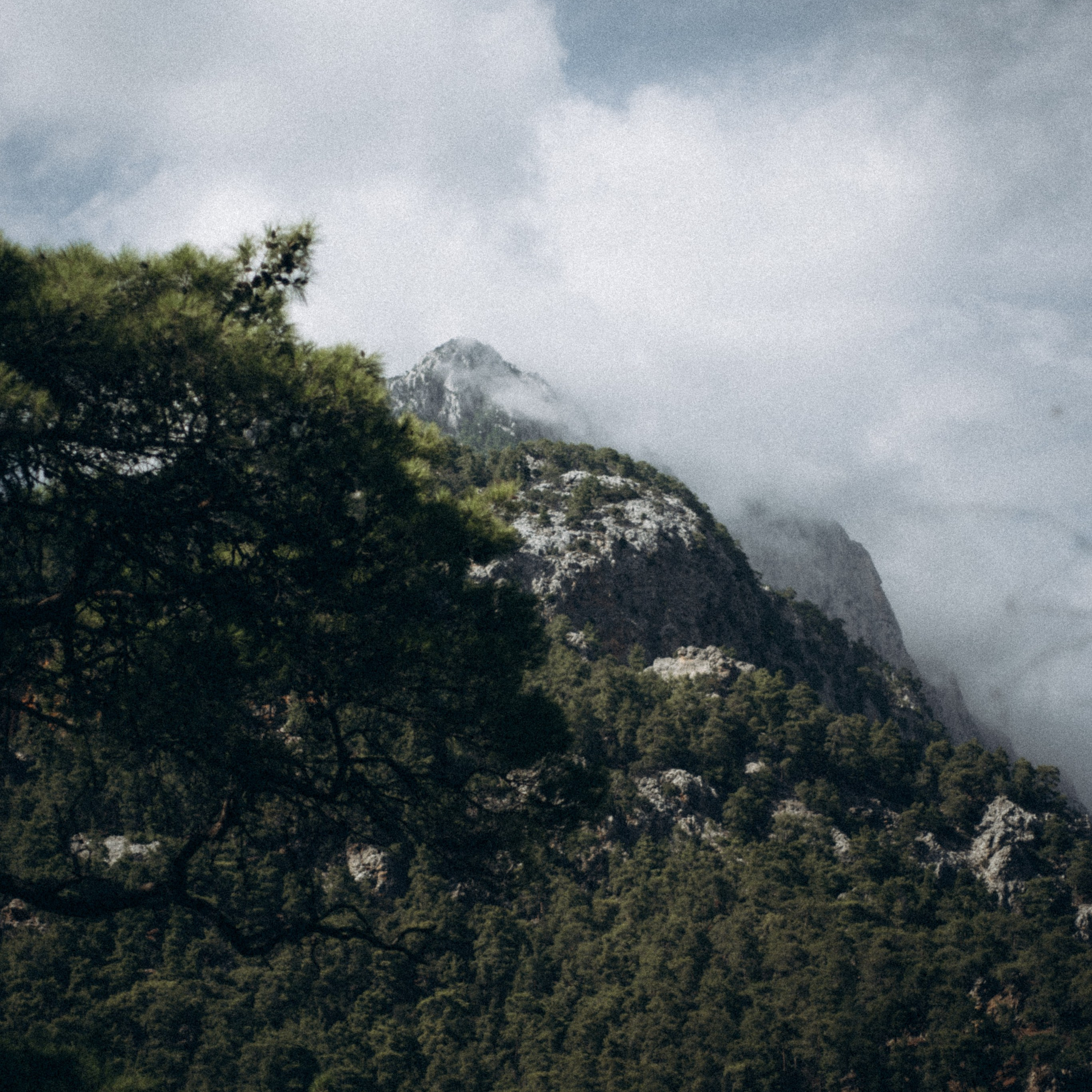 Ликийская Тропа 🇹🇷 Восточная Часть. Anita_photo