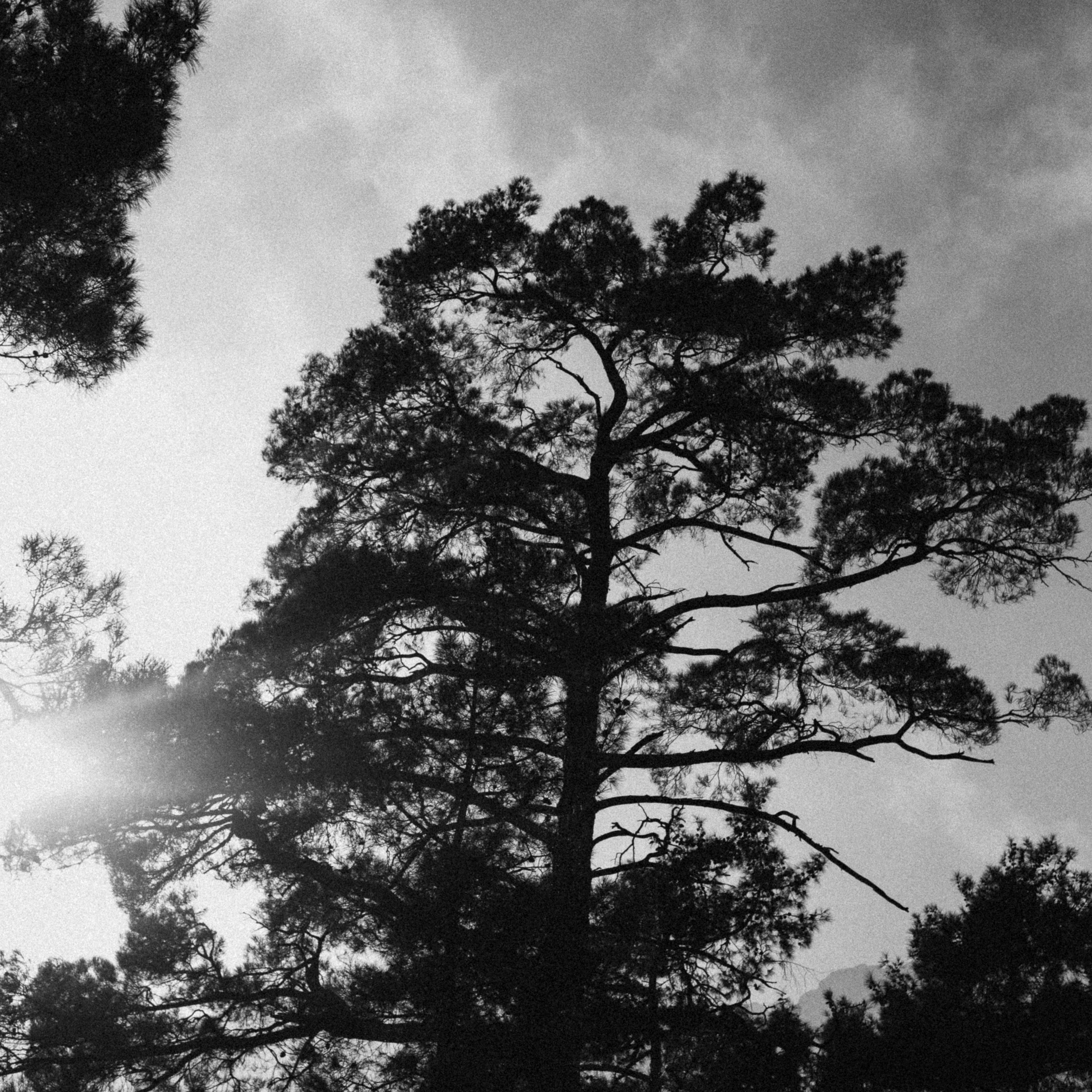 Ликийская Тропа 🇹🇷 Восточная Часть. Anita_photo