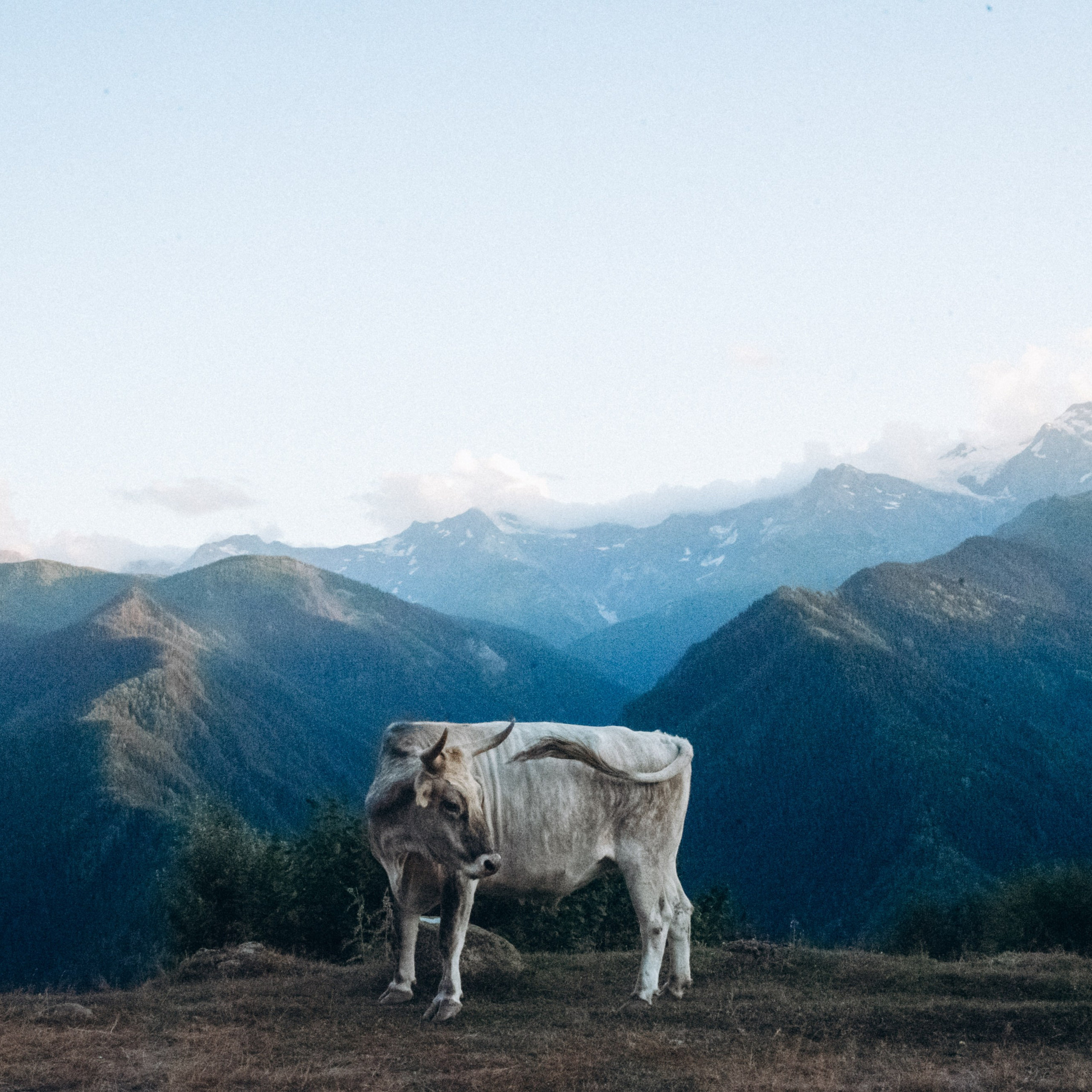 Сванетия, Грузия 🇬🇪. Anita_photo