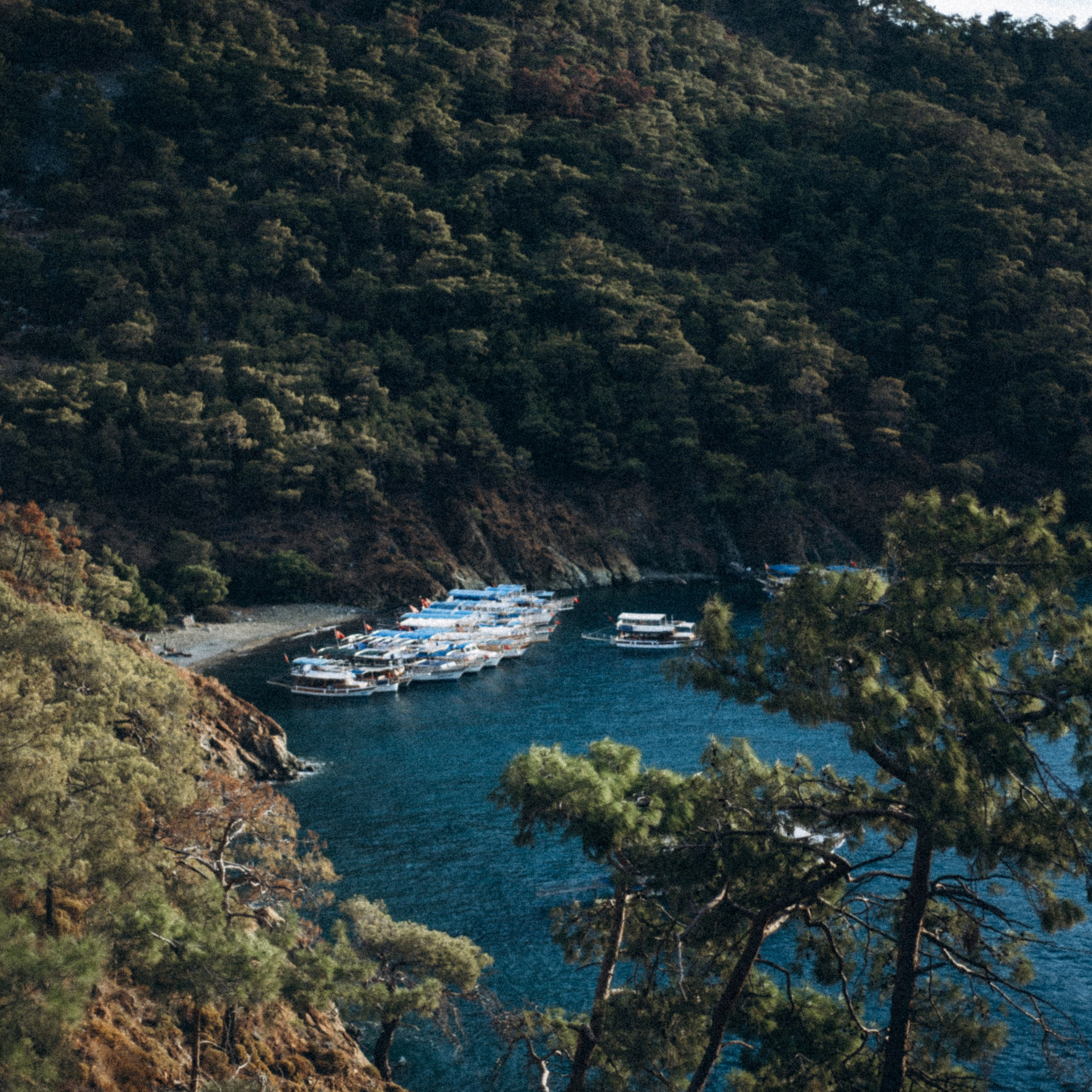 Ликийская Тропа 🇹🇷 Восточная Часть. Anita_photo