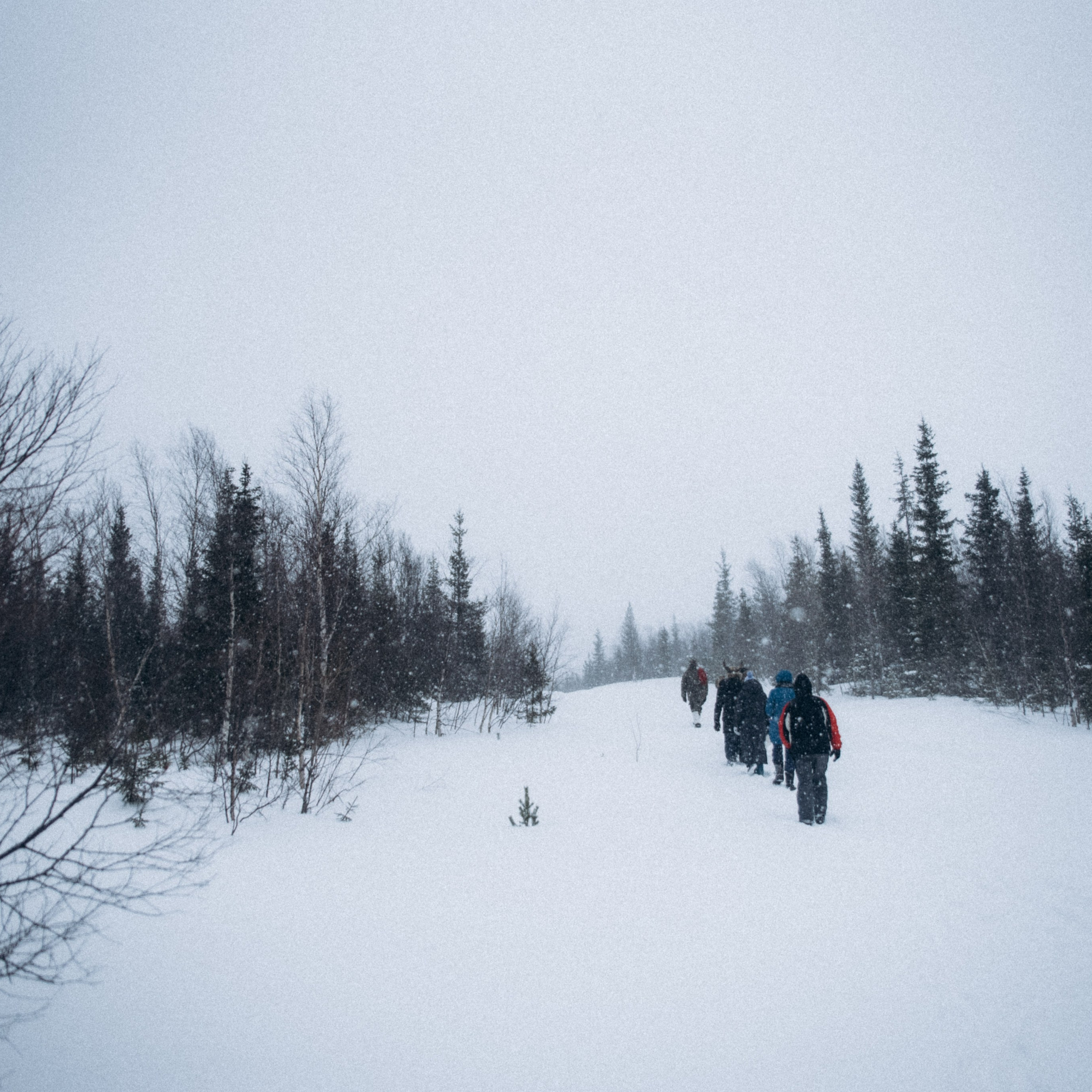 Мурманск. Anita_photo