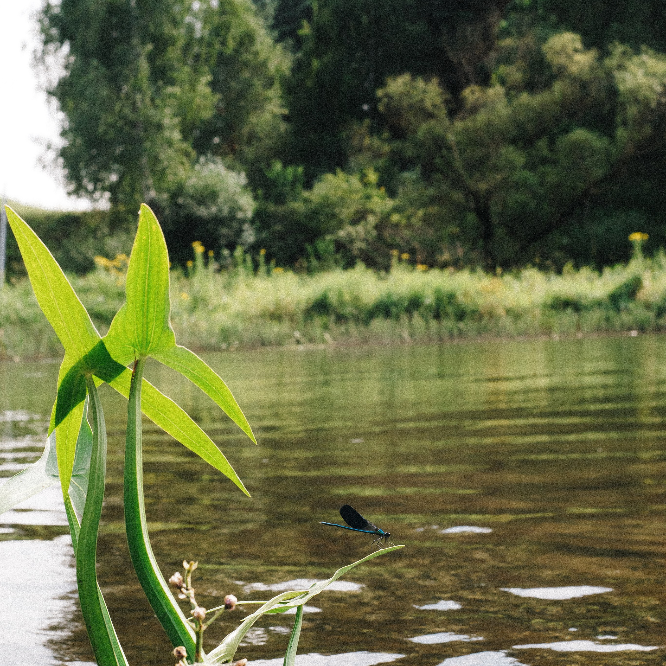 Байдарки Вилейка. Anita_photo