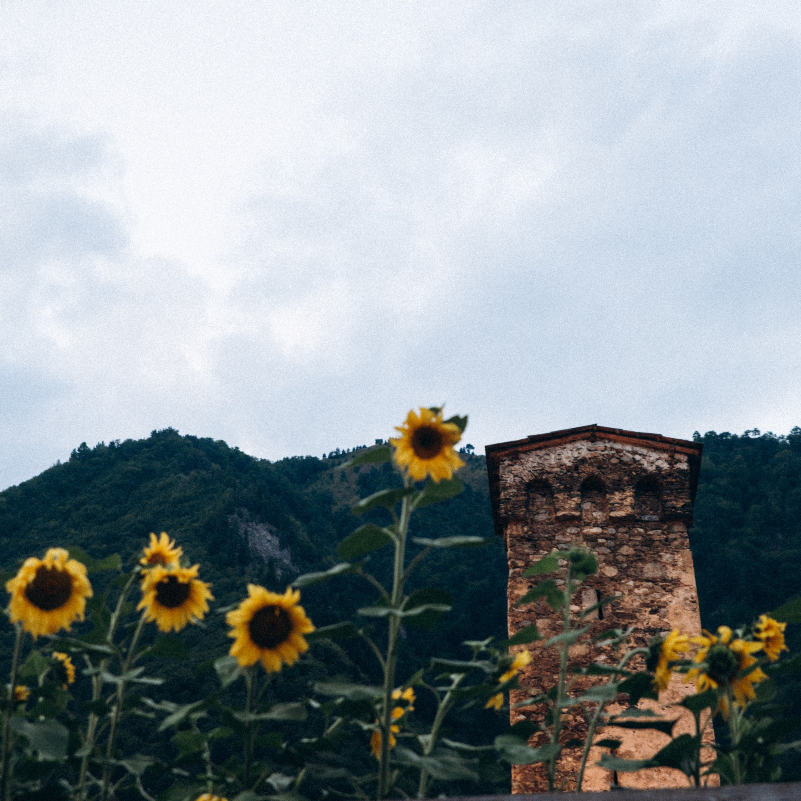 Сванетия, Грузия 🇬🇪. Anita_photo