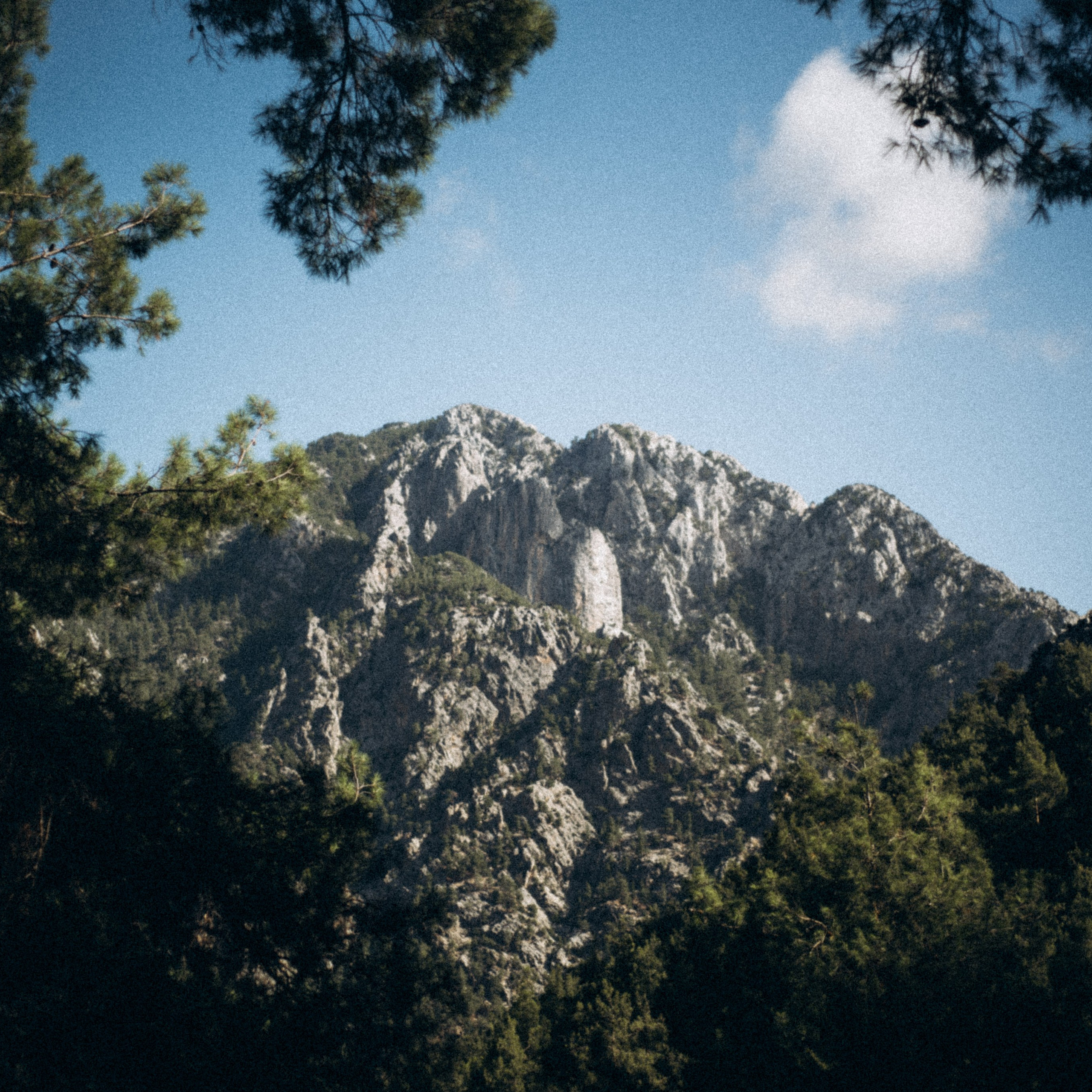 Ликийская Тропа 🇹🇷 Восточная Часть. Anita_photo