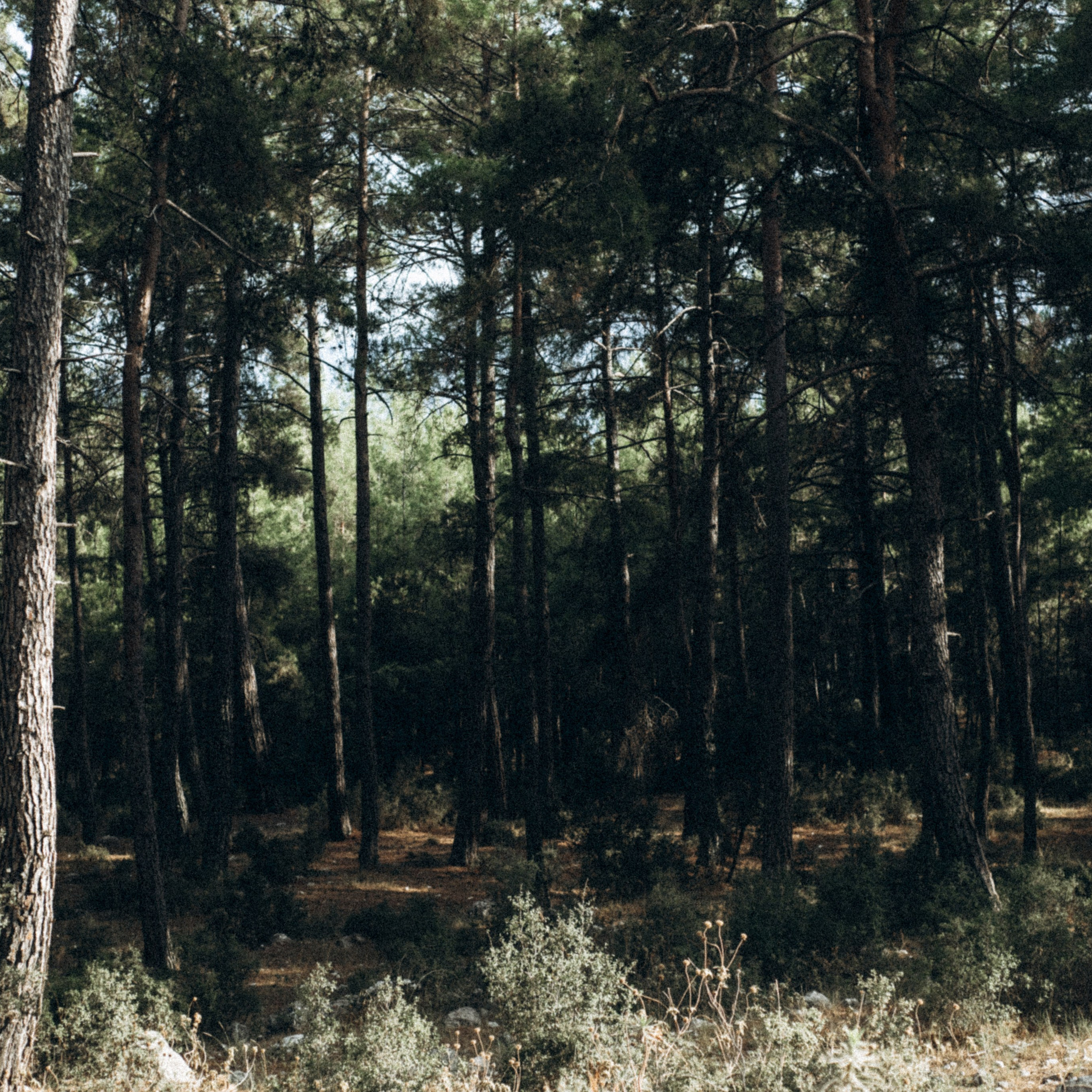 Ликийская Тропа 🇹🇷 Восточная Часть. Anita_photo