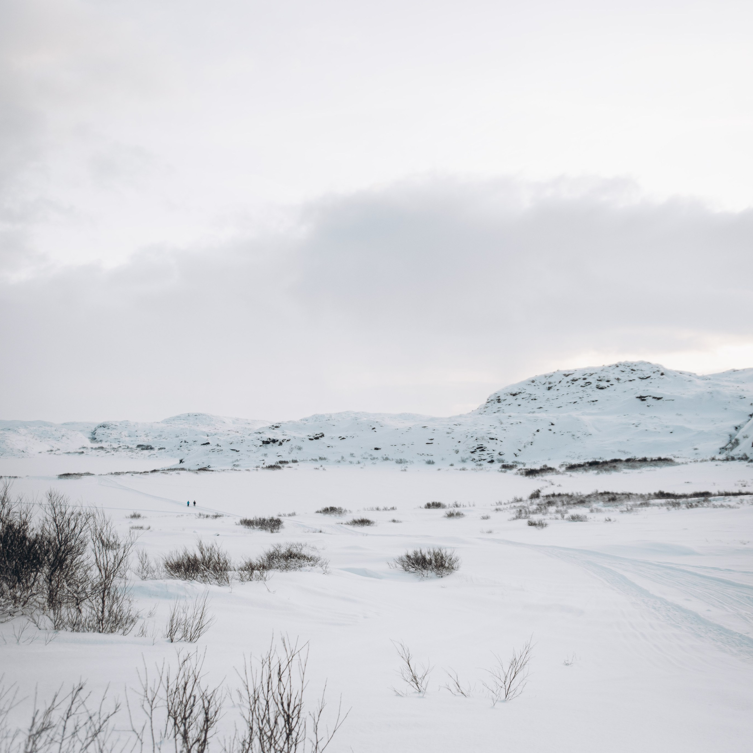 Мурманск. Anita_photo