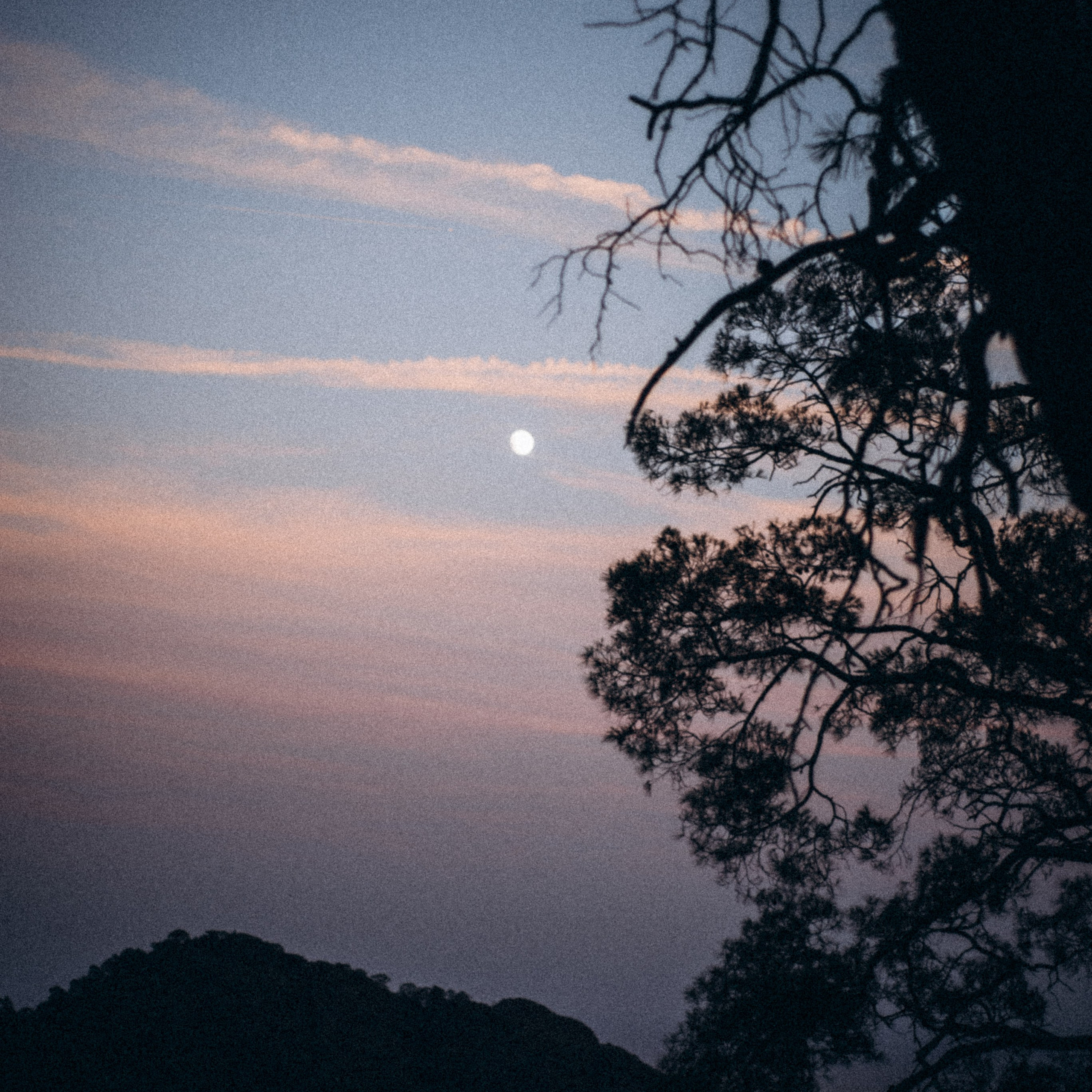 Ликийская Тропа 🇹🇷 Восточная Часть. Anita_photo