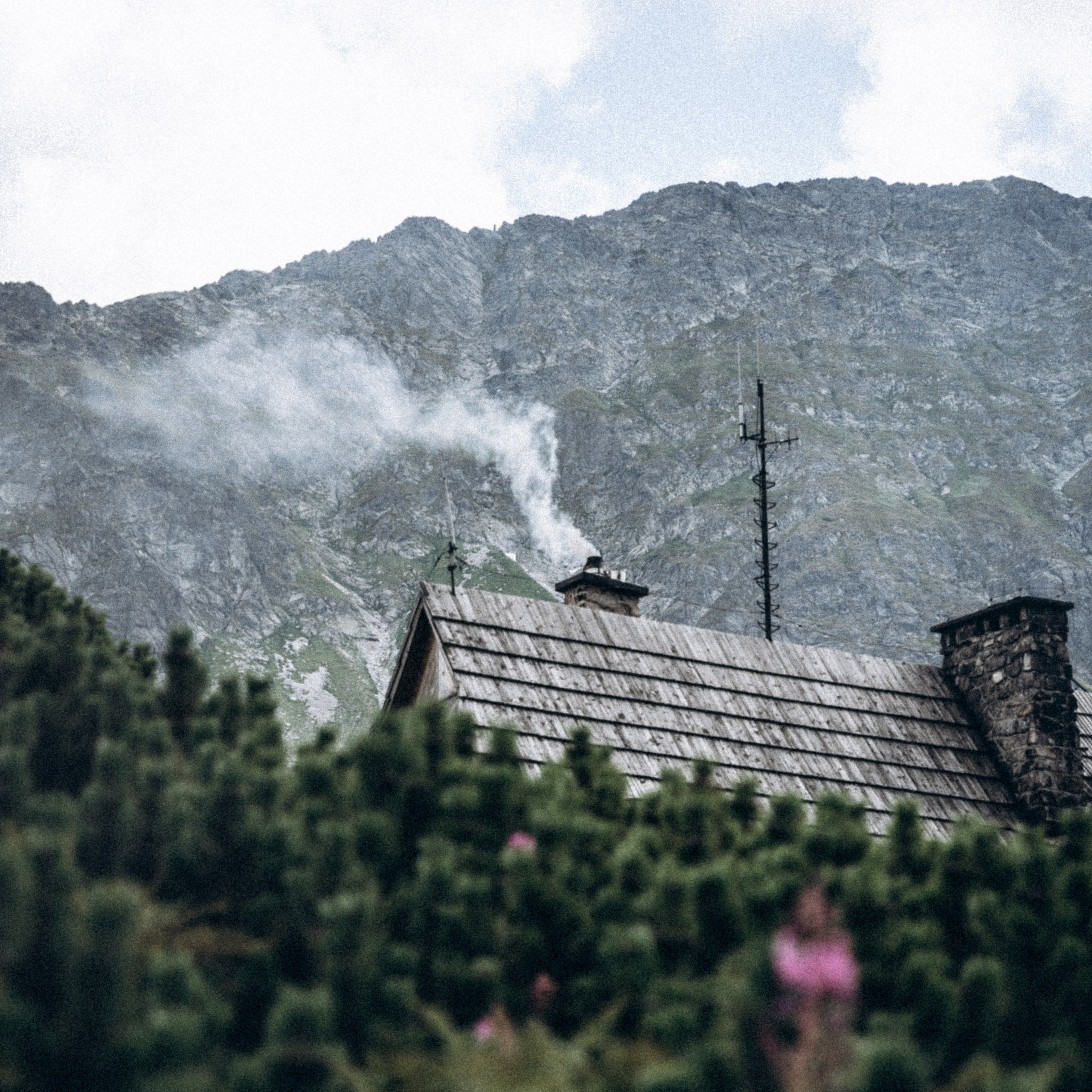 Закопаны. Anita_photo