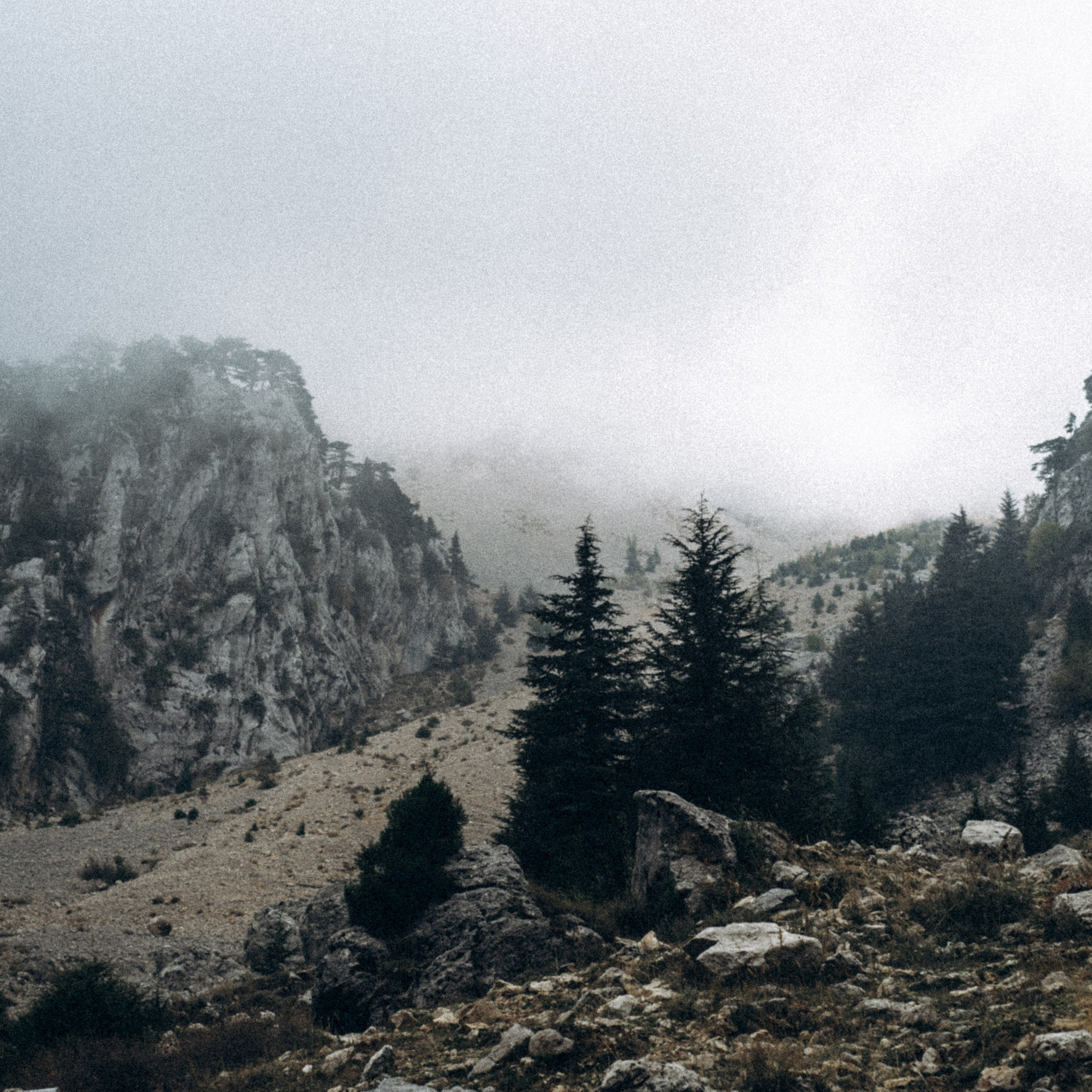 Ликийская Тропа 🇹🇷 Восточная Часть. Anita_photo