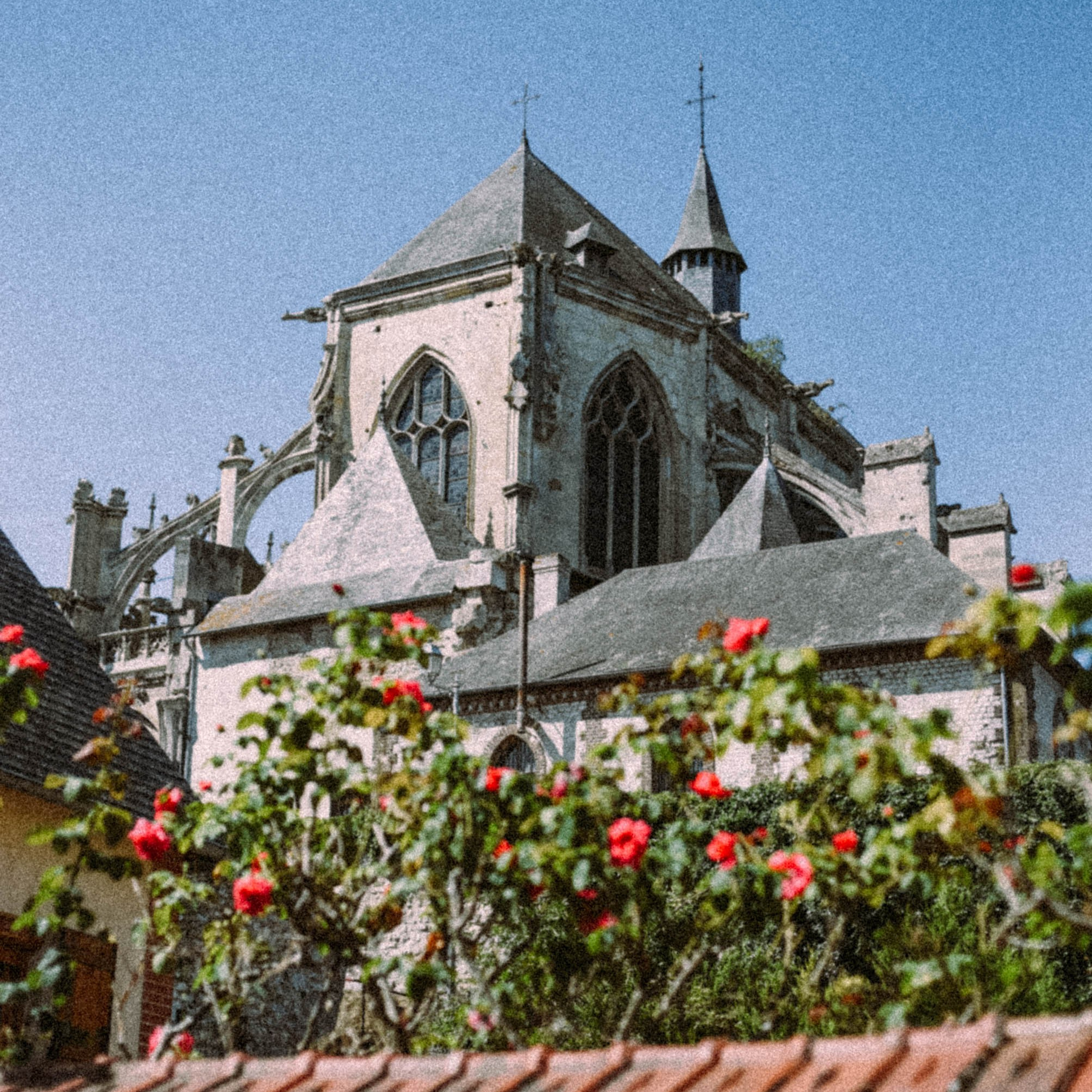 Нормандия, Франция 2025. Anita_photo