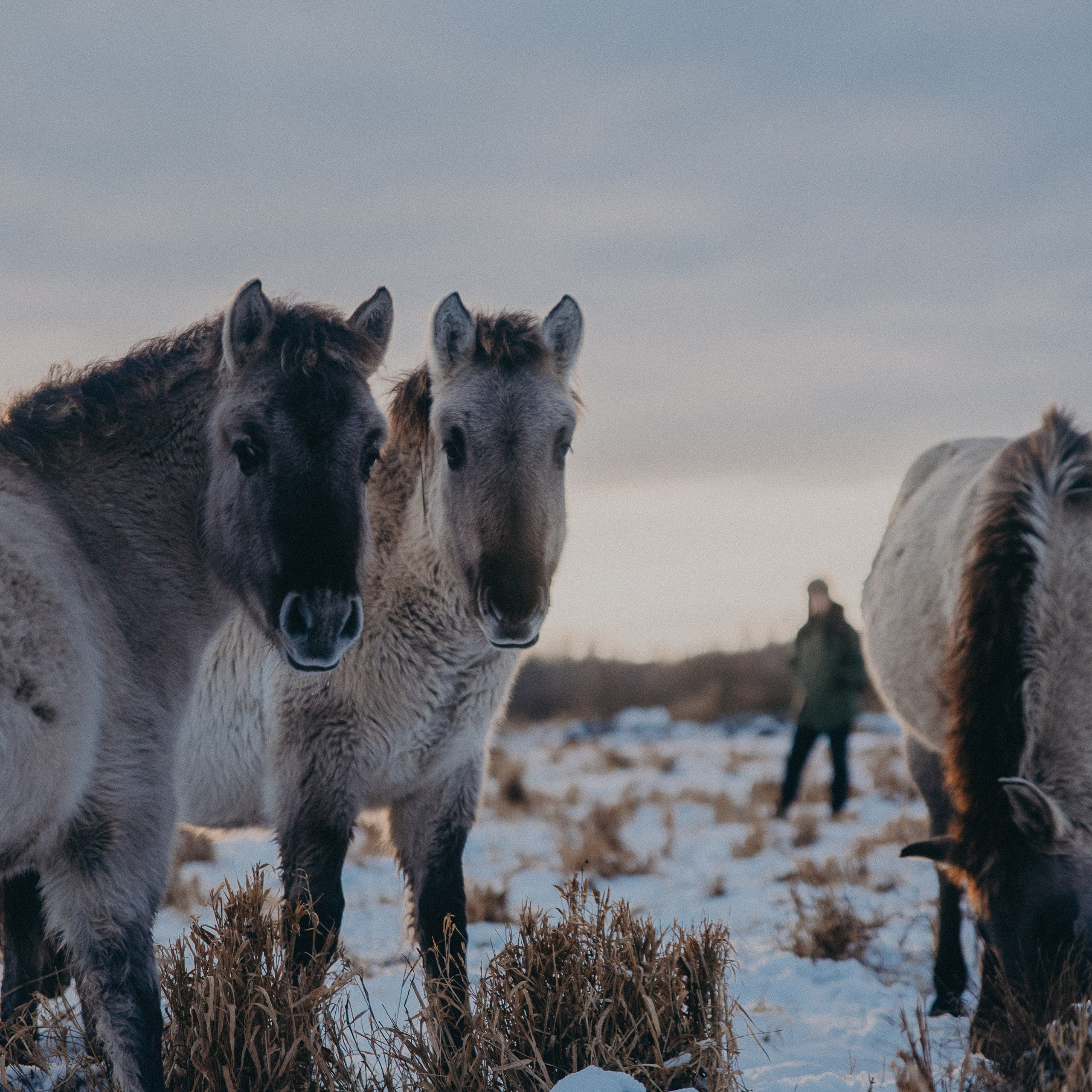 Блог фотографа Кос. Anita_photo