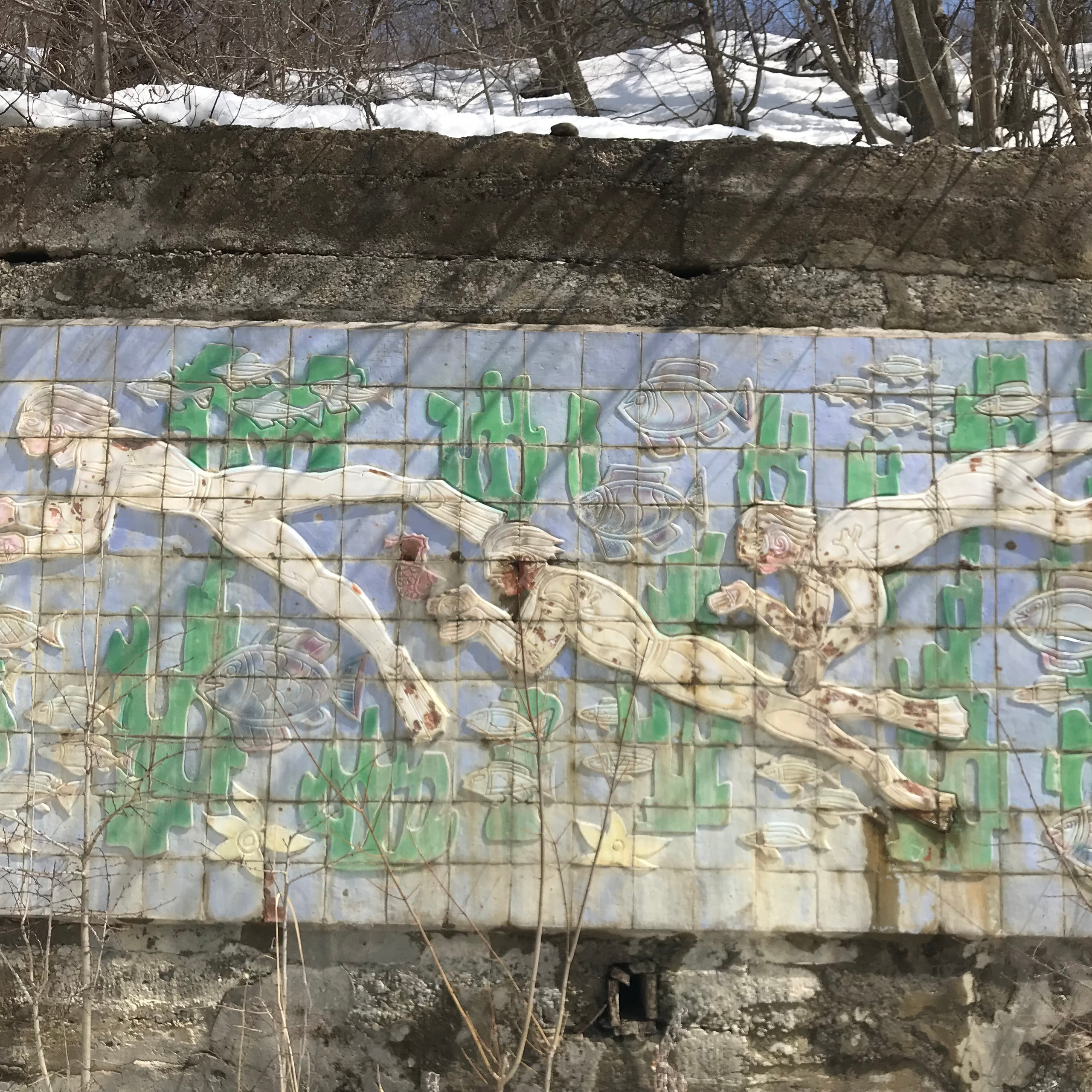 Медвежий приют, Грузия 🇬🇪. Anita_photo