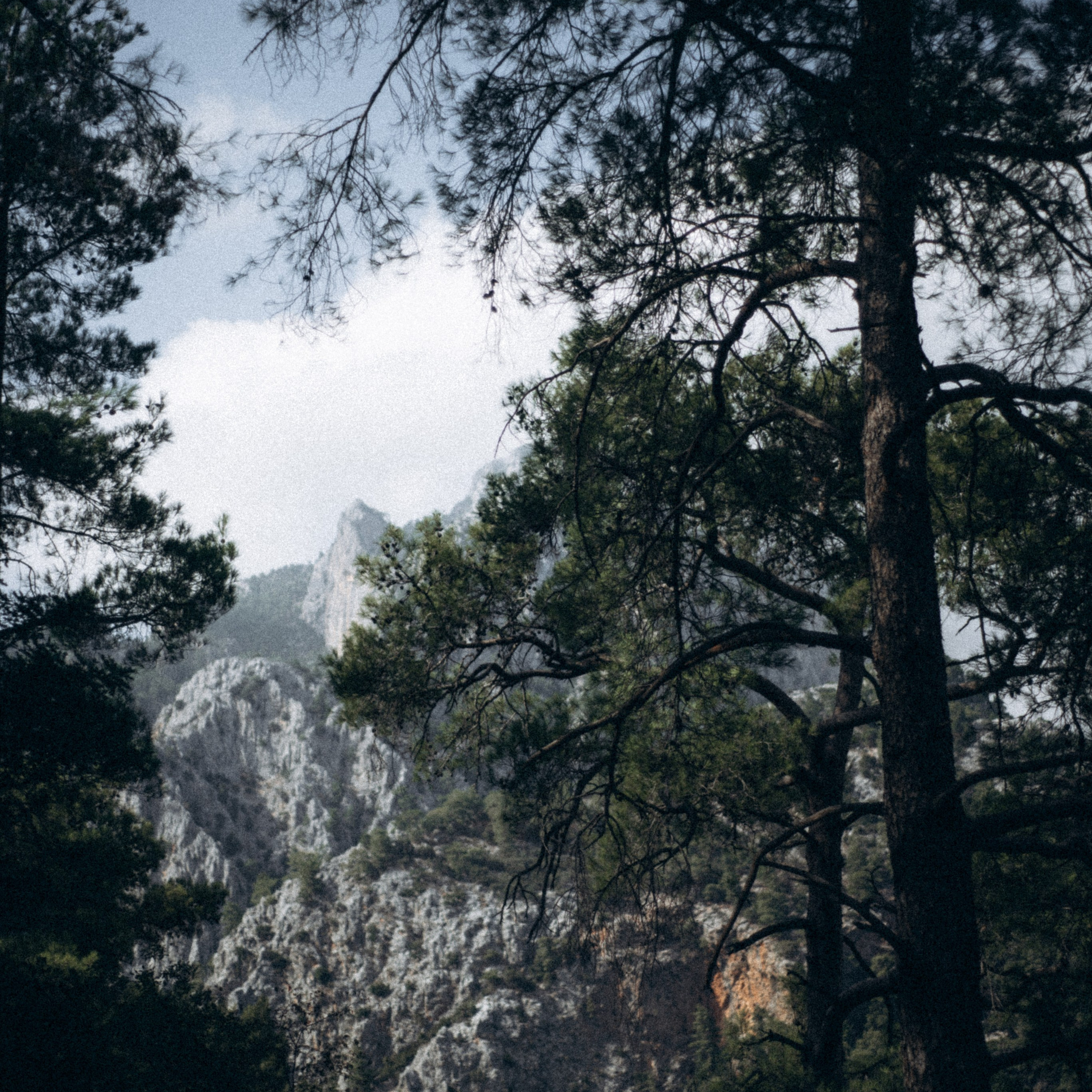 Ликийская Тропа 🇹🇷 Восточная Часть. Anita_photo