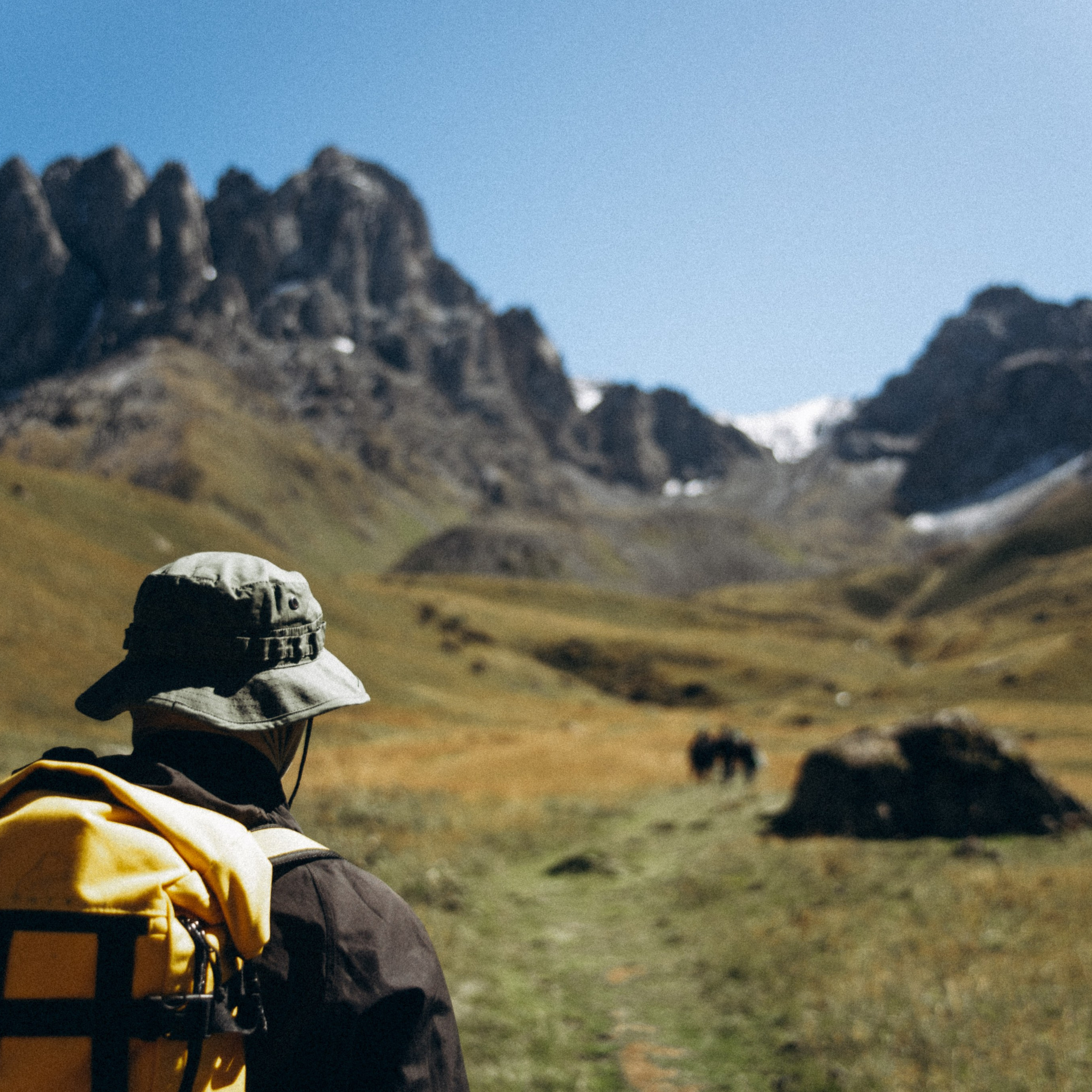 Джута, Грузия 🇬🇪 «Honey Trip»