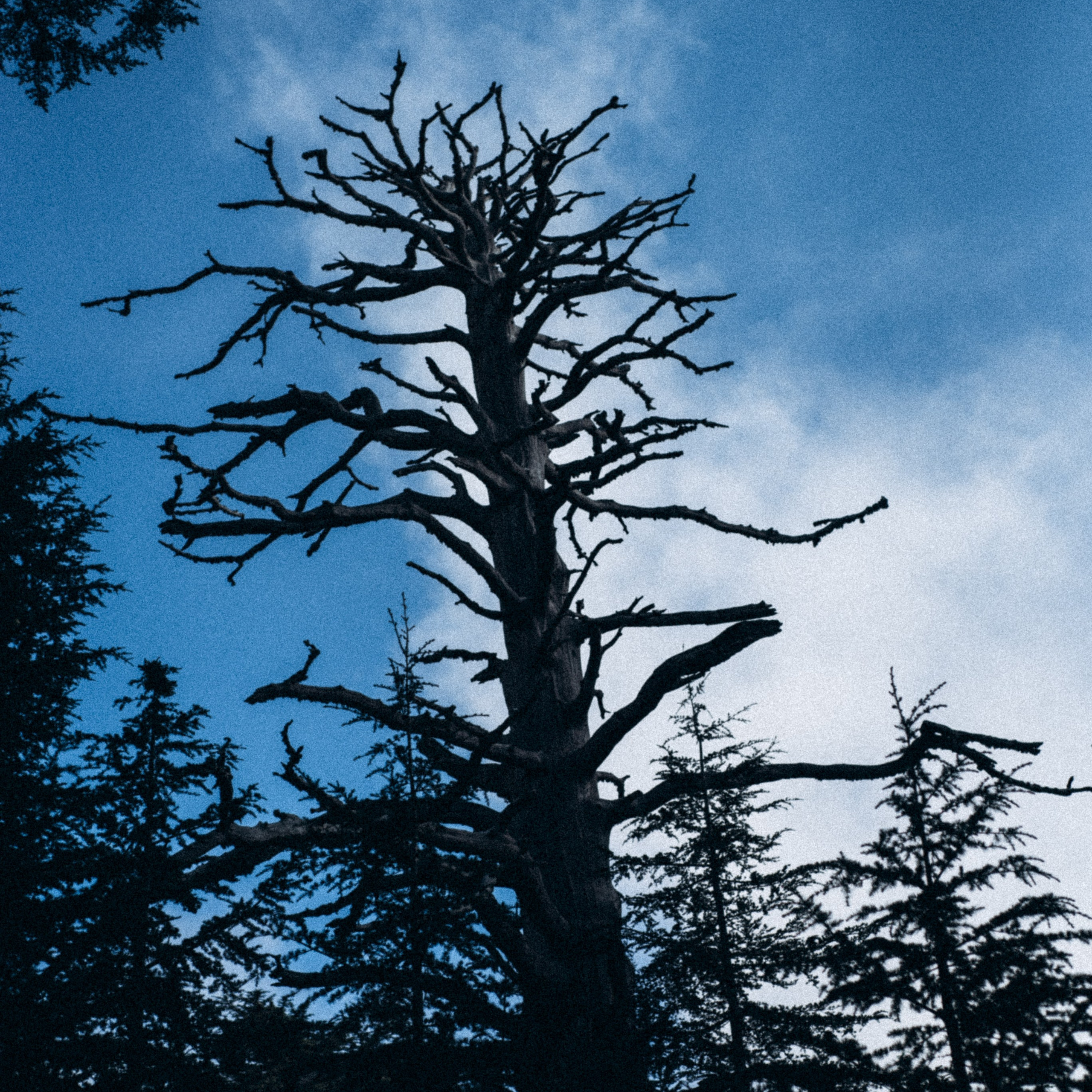 Ликийская Тропа 🇹🇷 Восточная Часть. Anita_photo