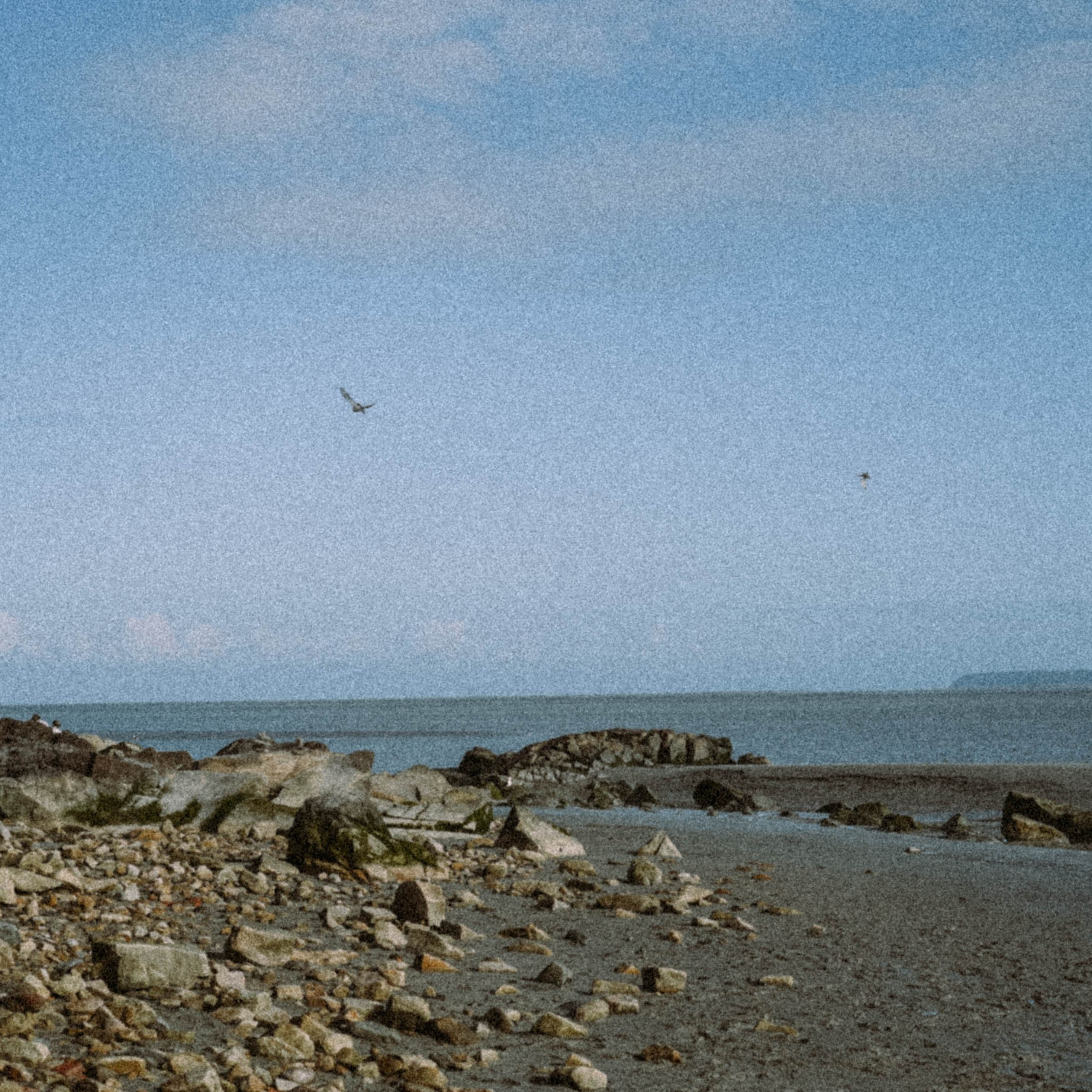 Нормандия, Франция 2025. Anita_photo