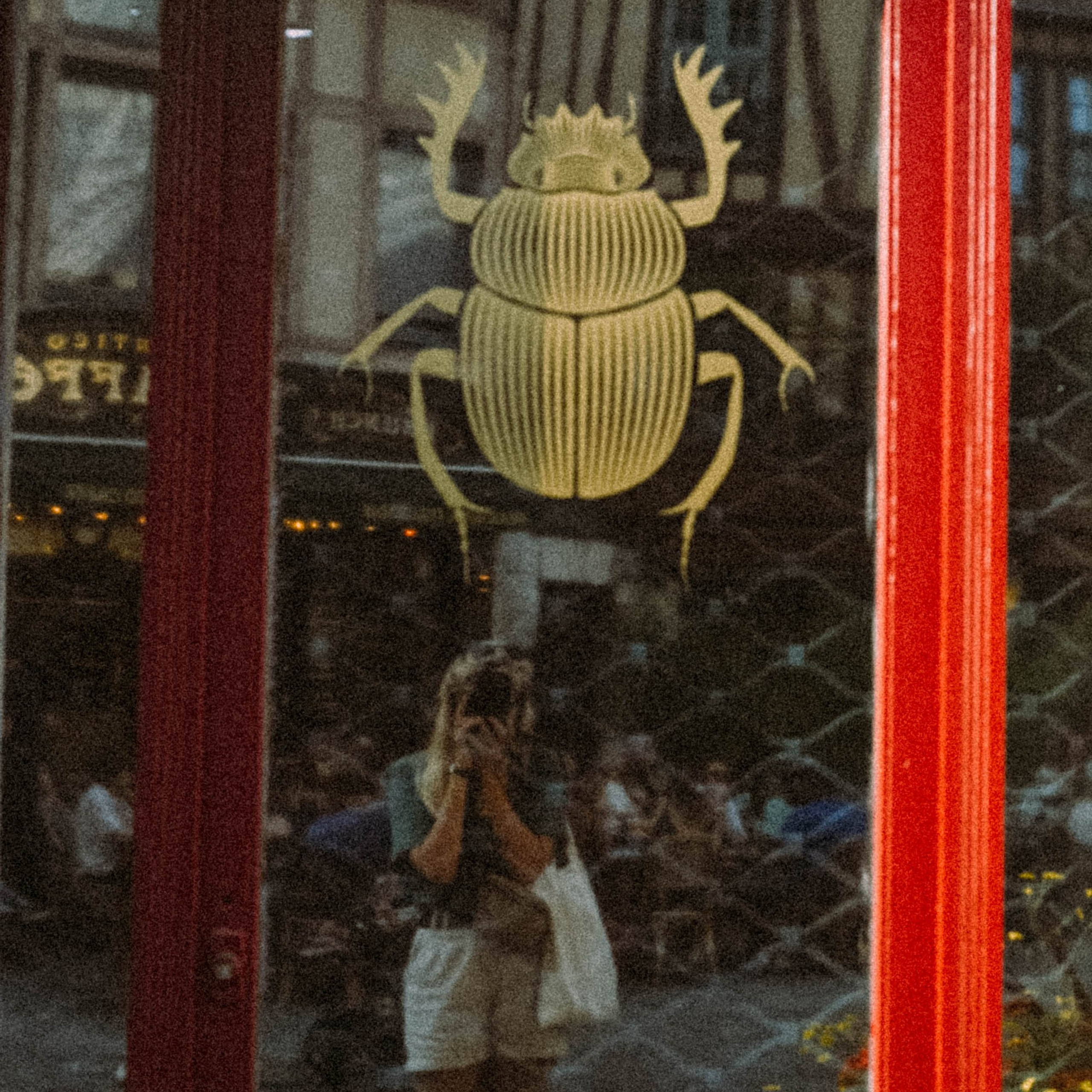 Нормандия, Франция 2025. Anita_photo