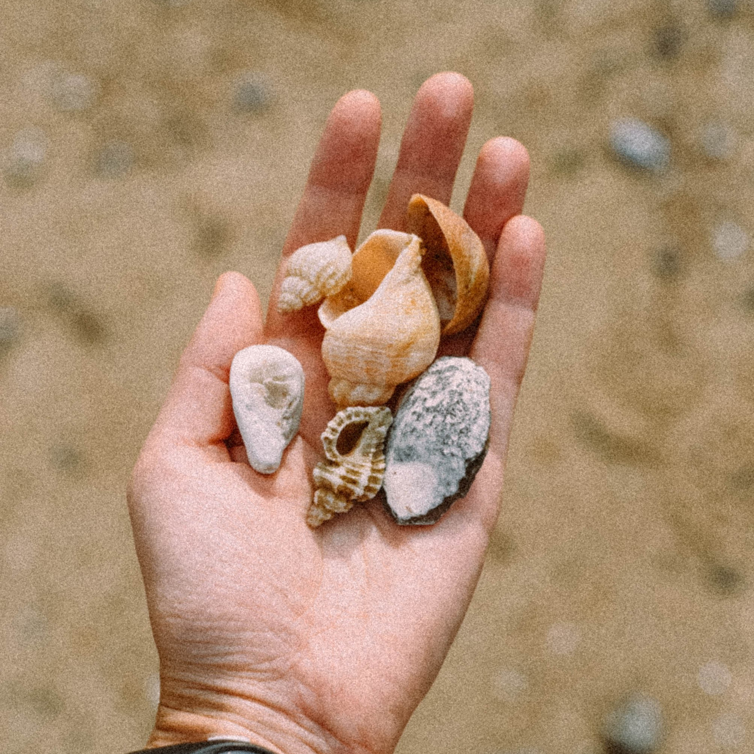 Нормандия, Франция 2025. Anita_photo