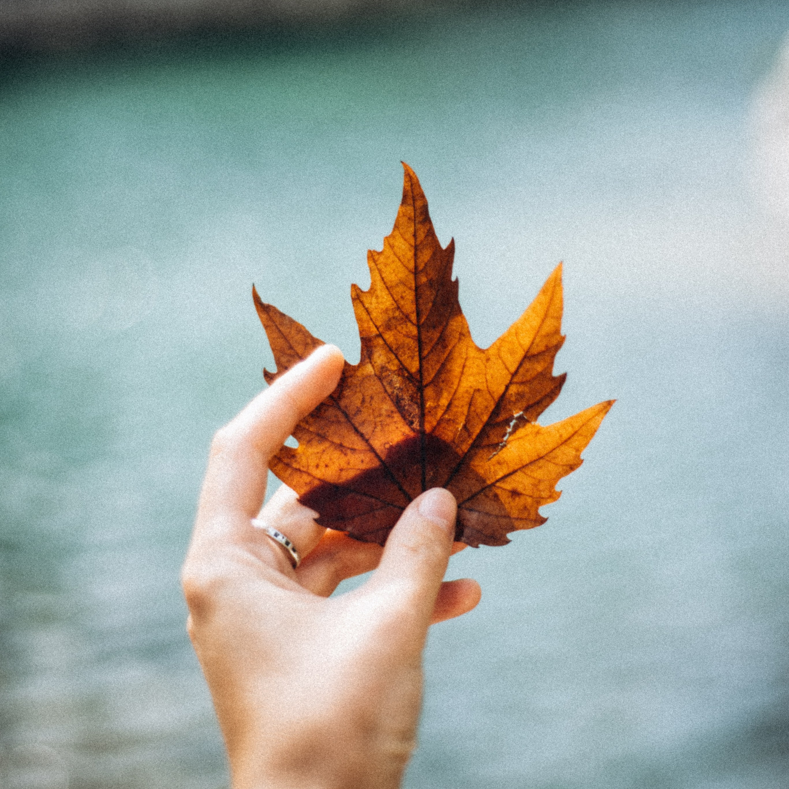 Ликийская Тропа 🇹🇷 Восточная Часть. Anita_photo